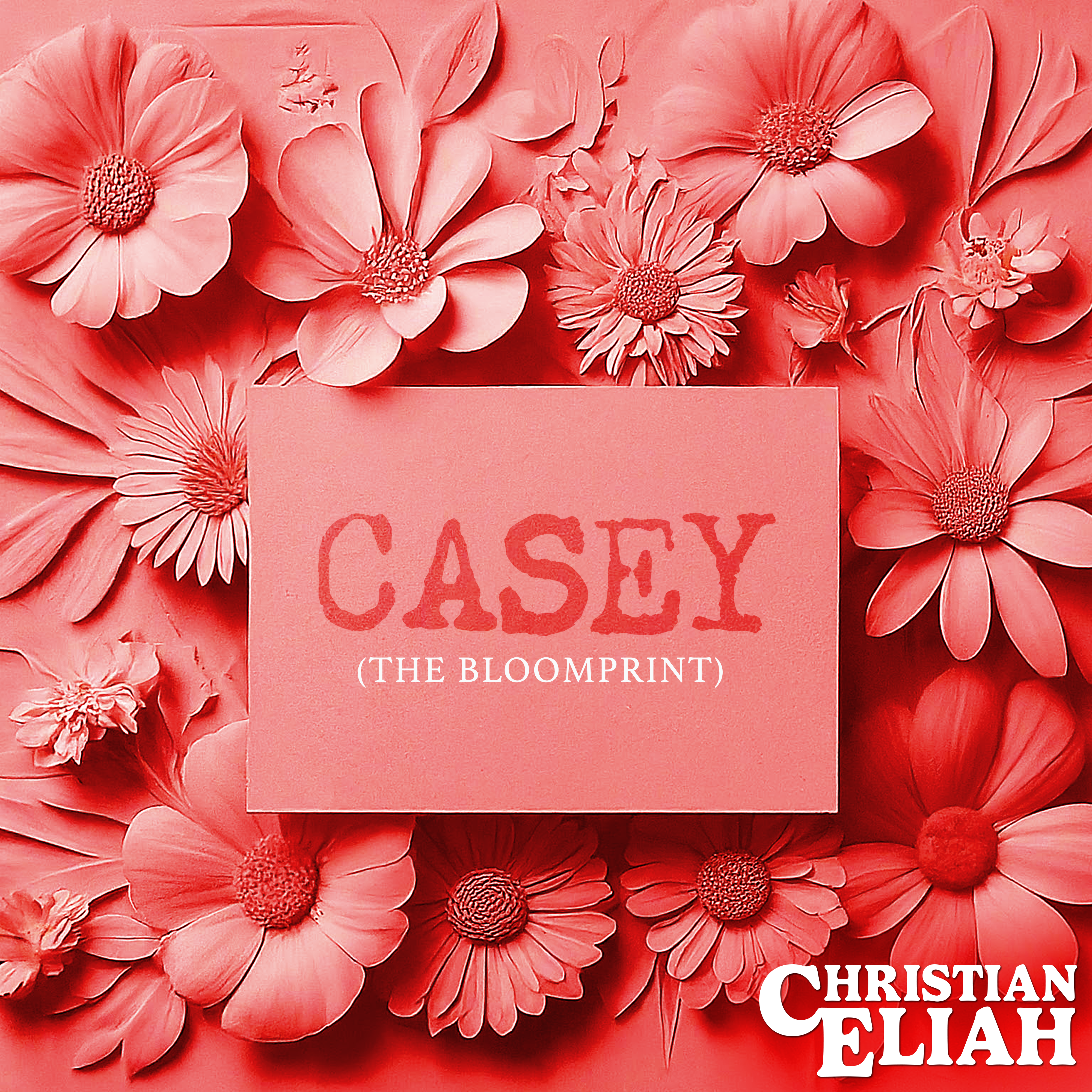 CASEY (the bloomprint) artwork