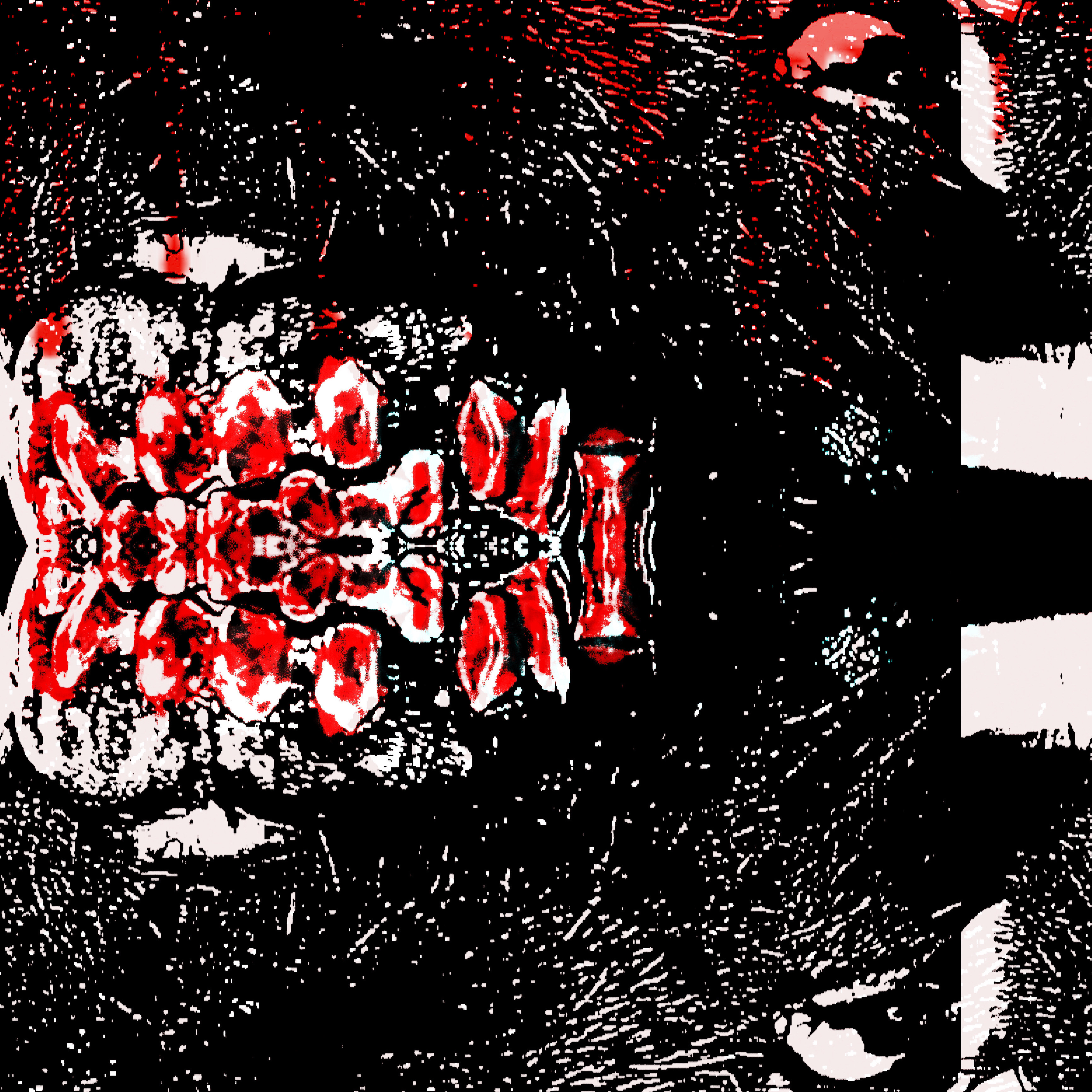 SECTION artwork