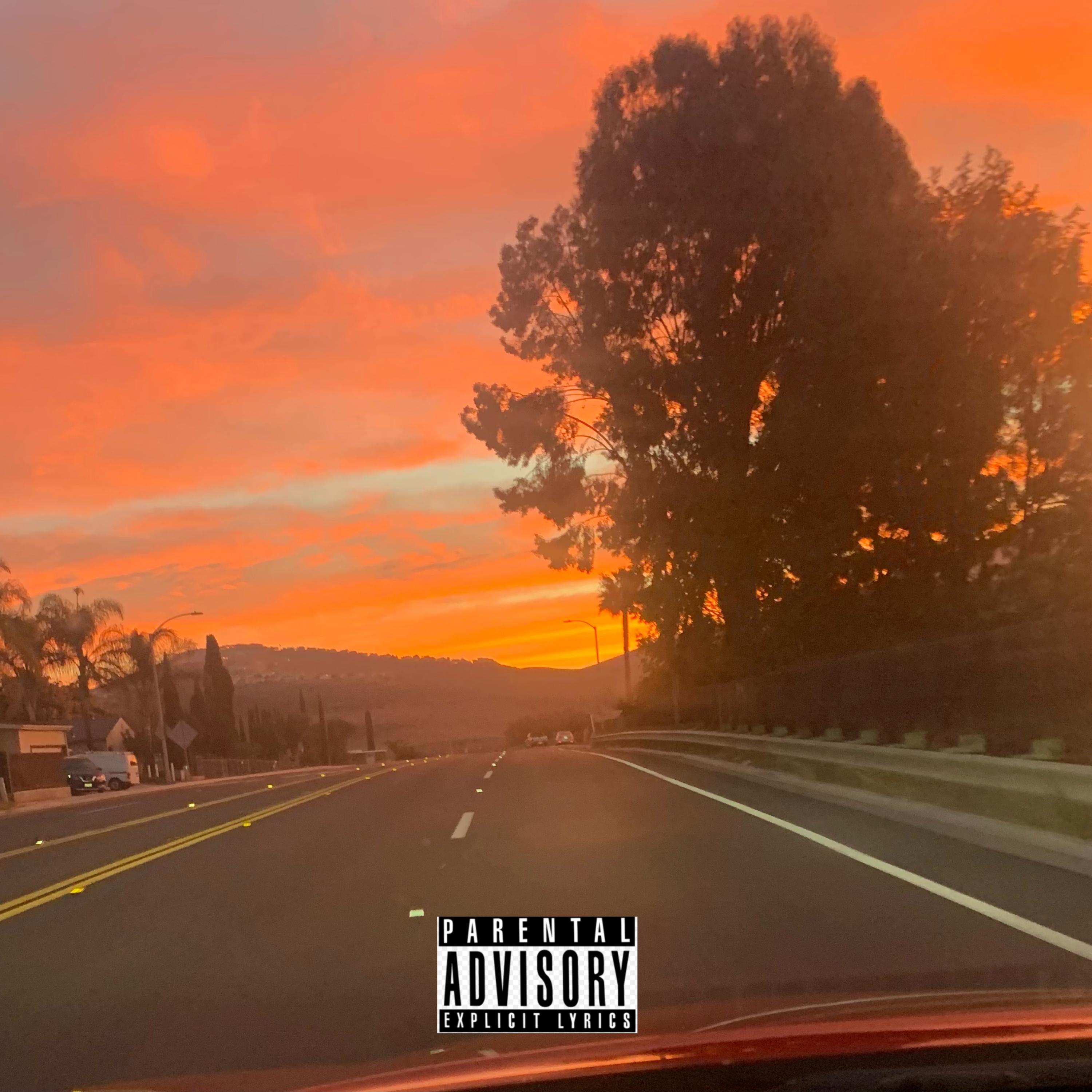 The Trip artwork