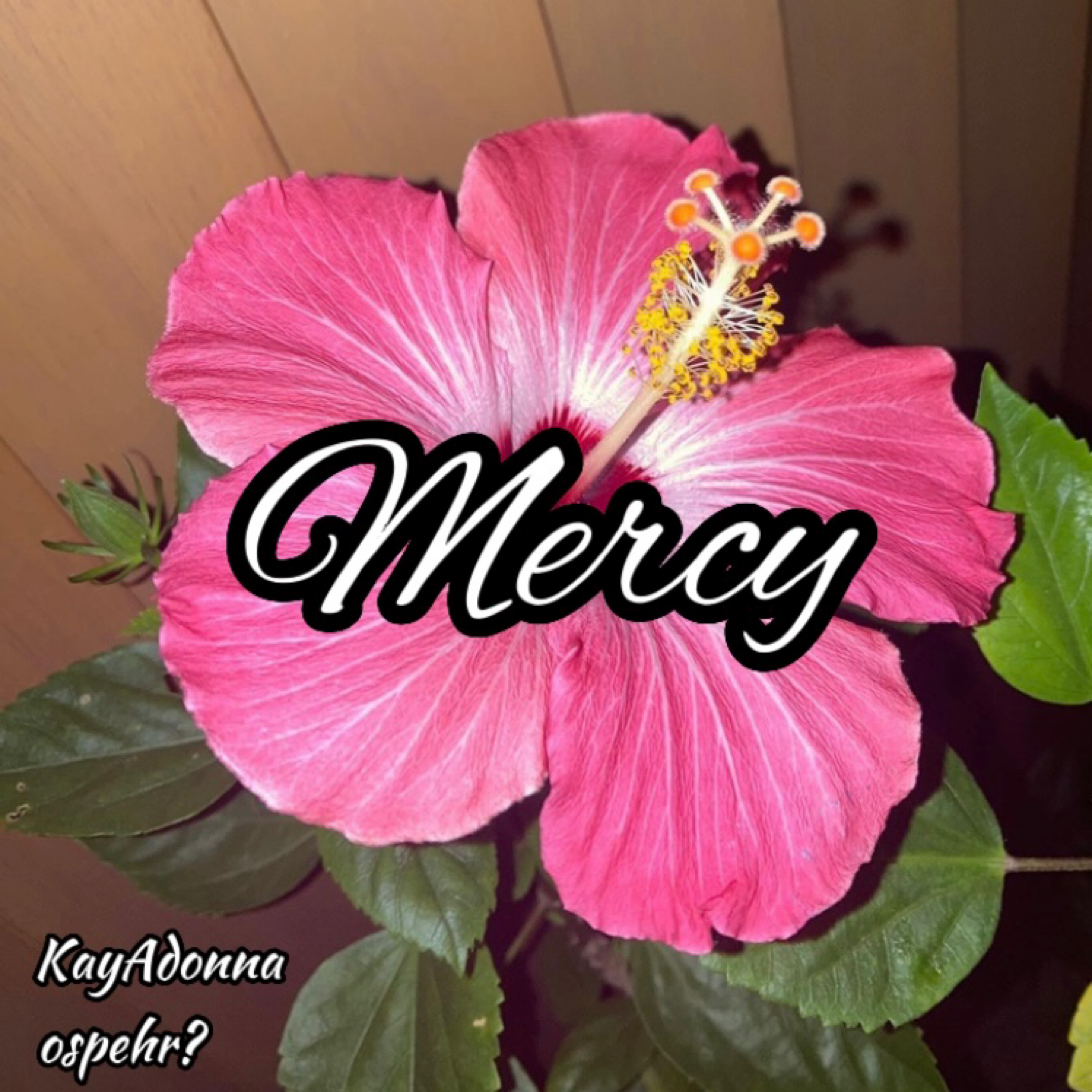 Mercy artwork