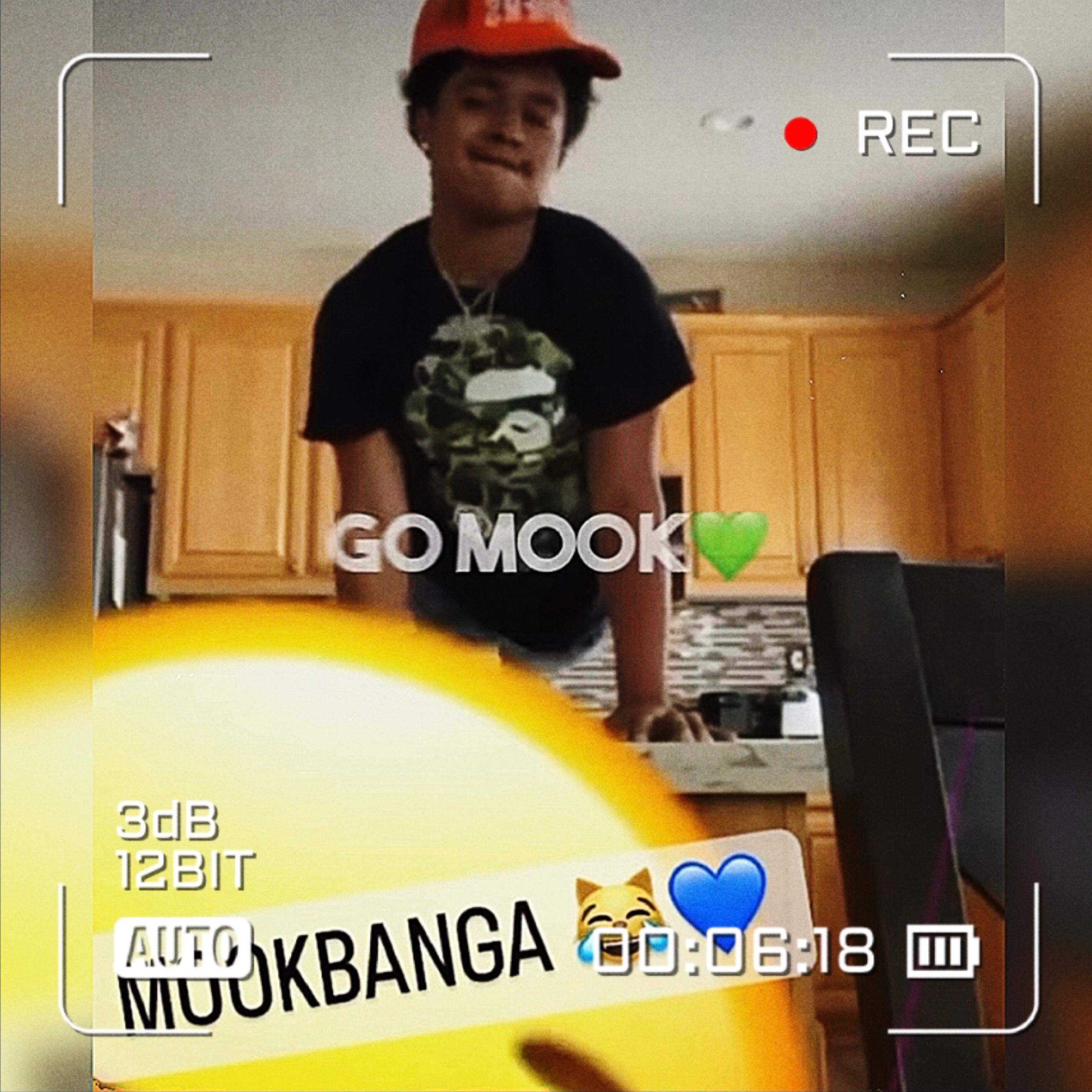 Go Mook! (Viral Song) artwork