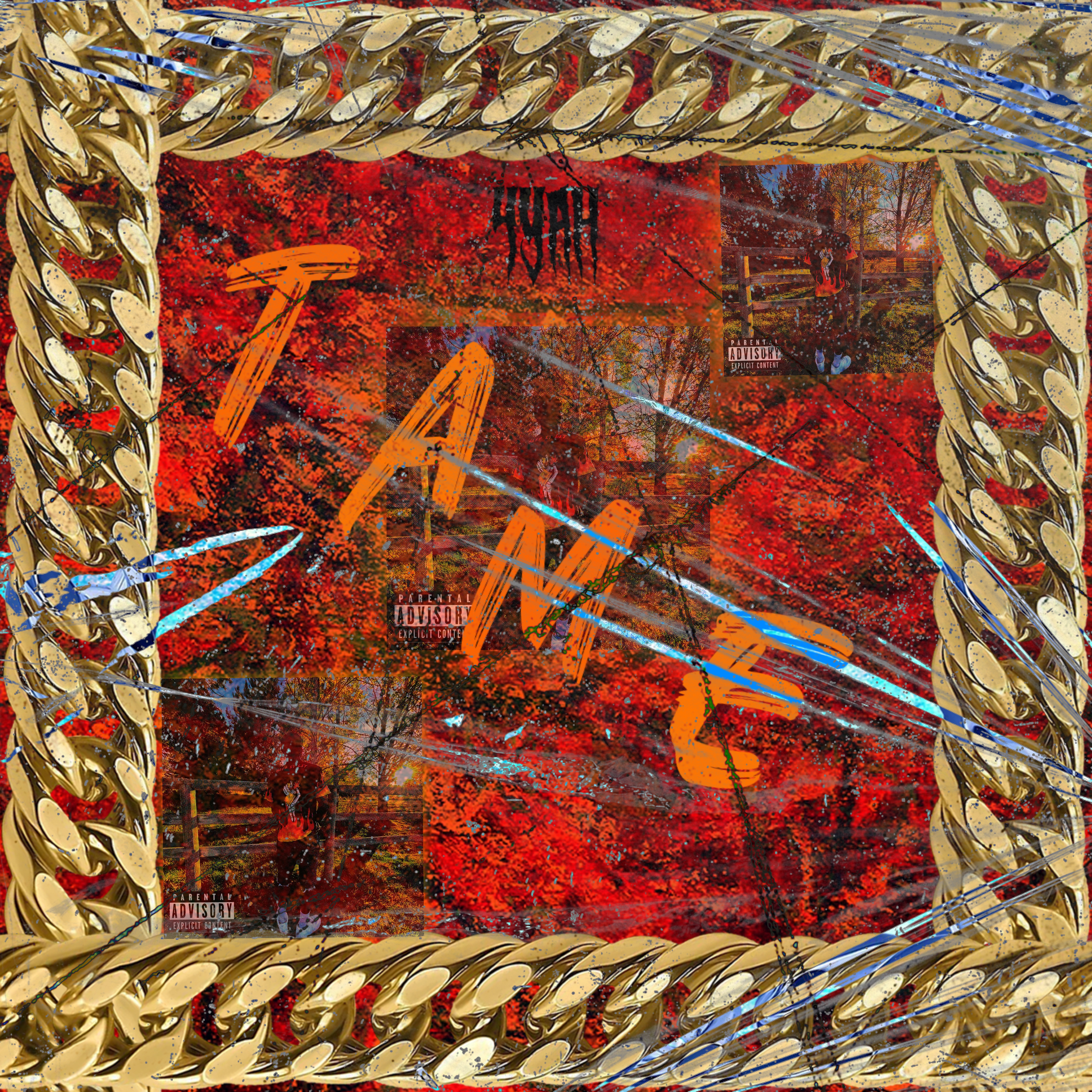 Tame artwork