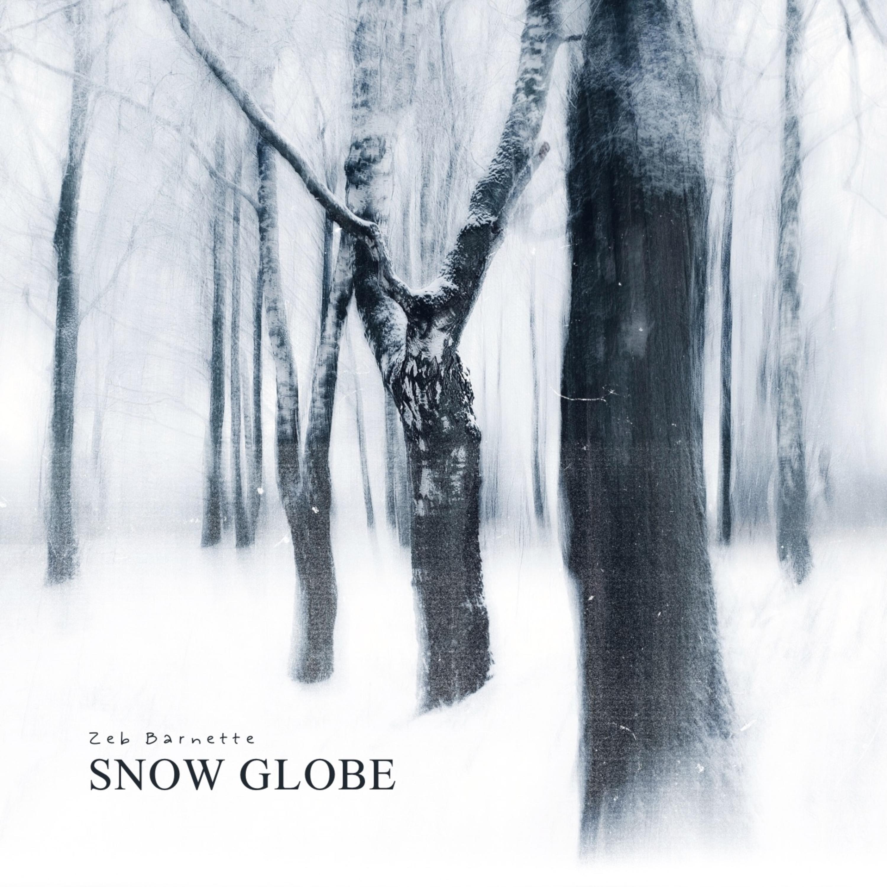 Snow Globe artwork
