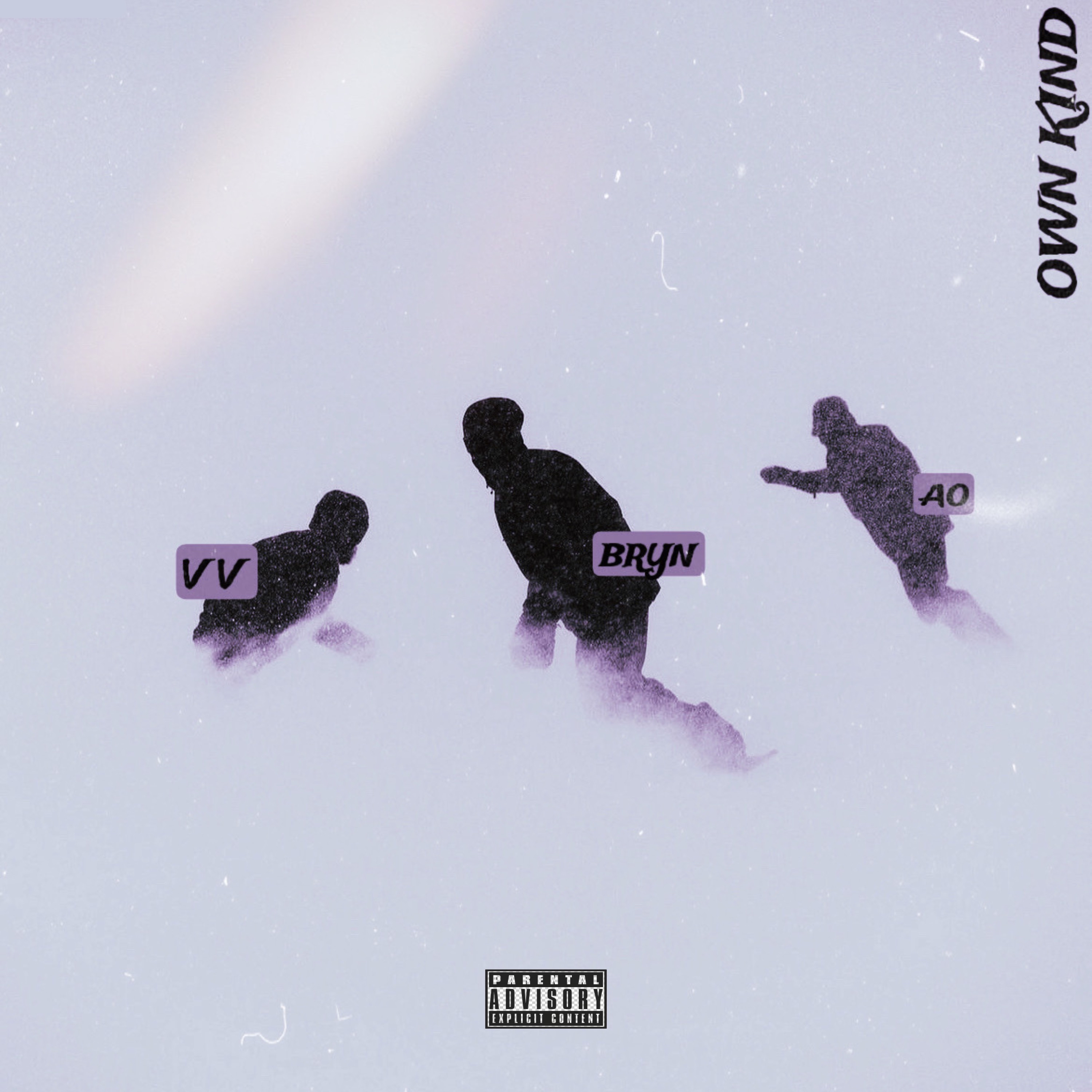Own Kind by vv cover art