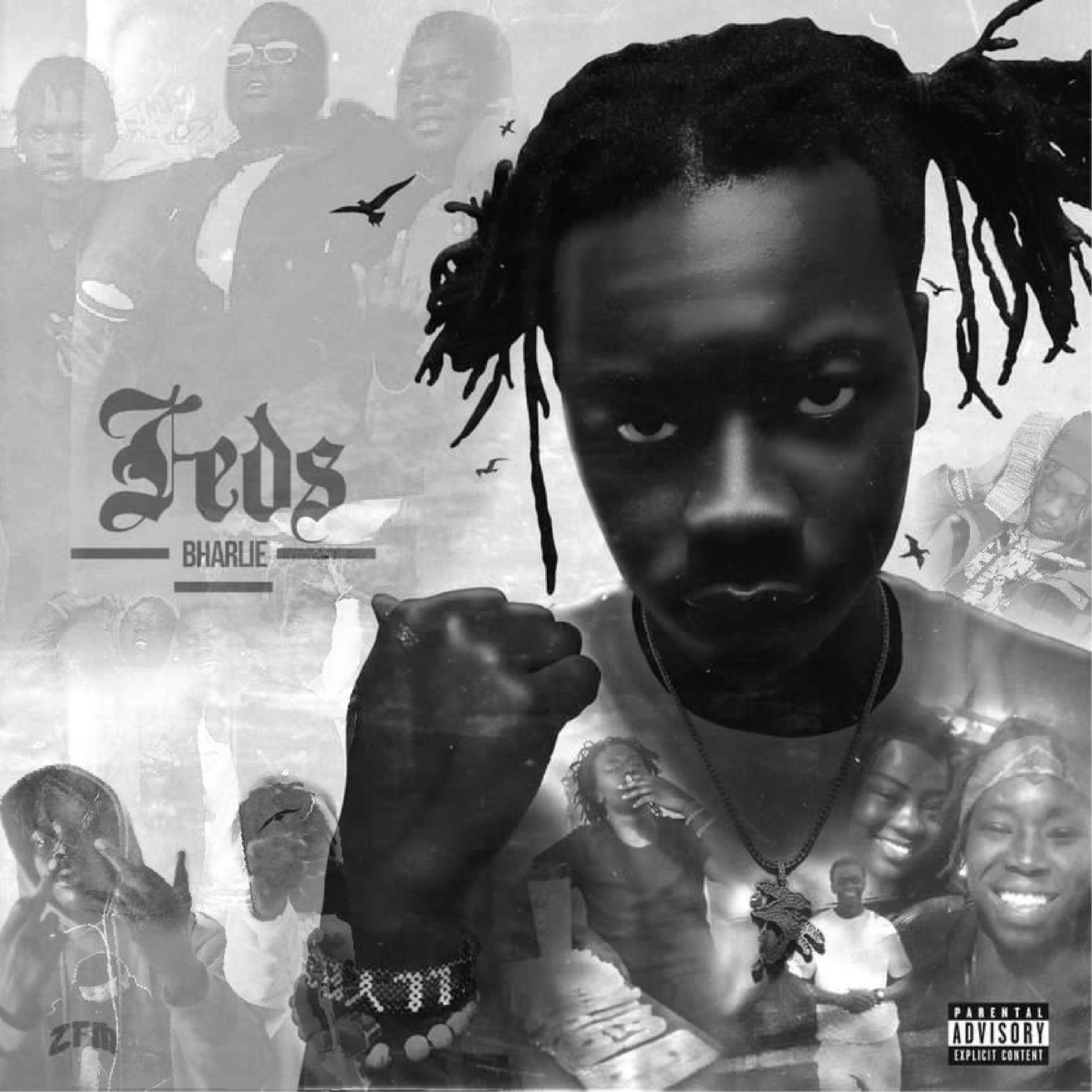 FEDS by Bharlie cover art