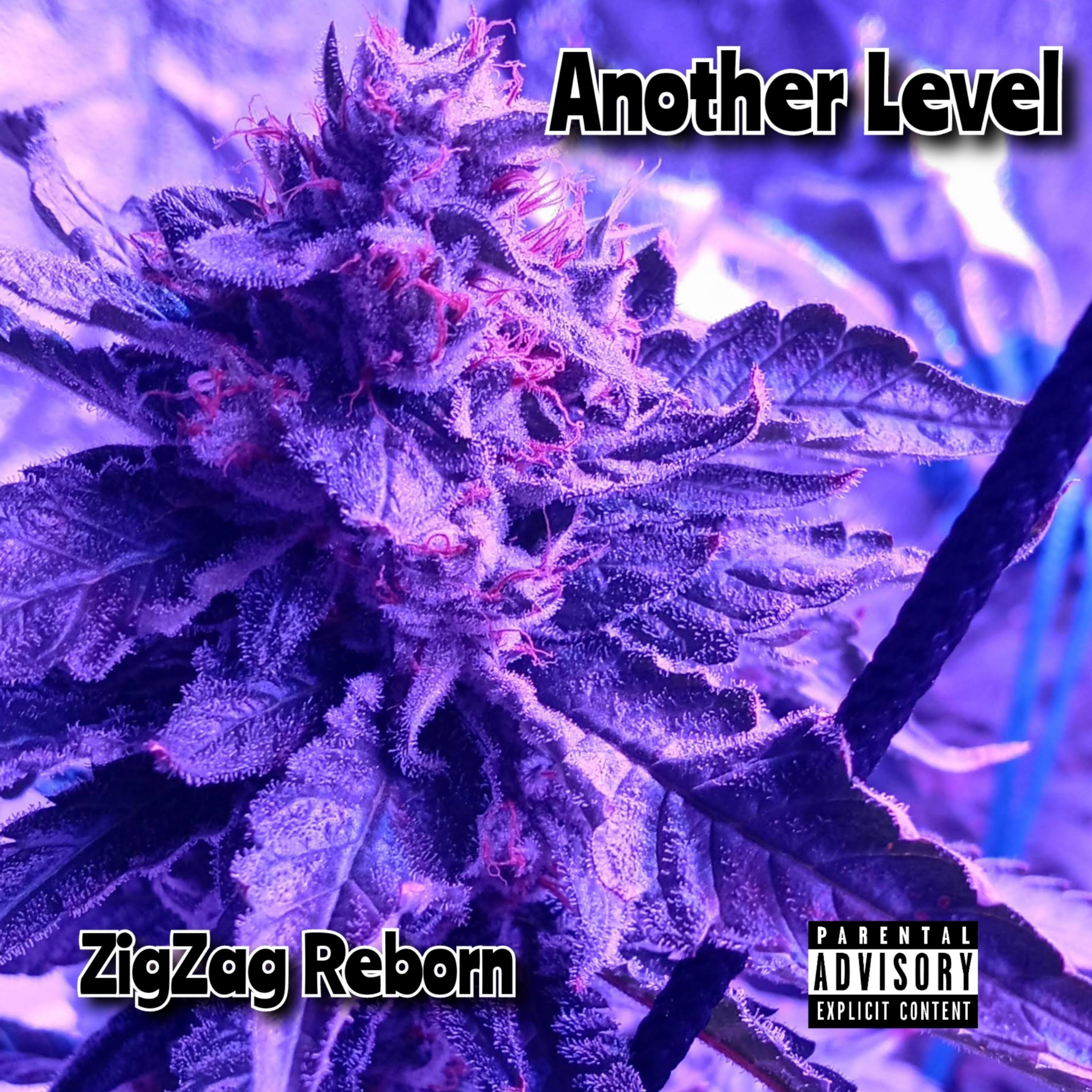 Another Level artwork