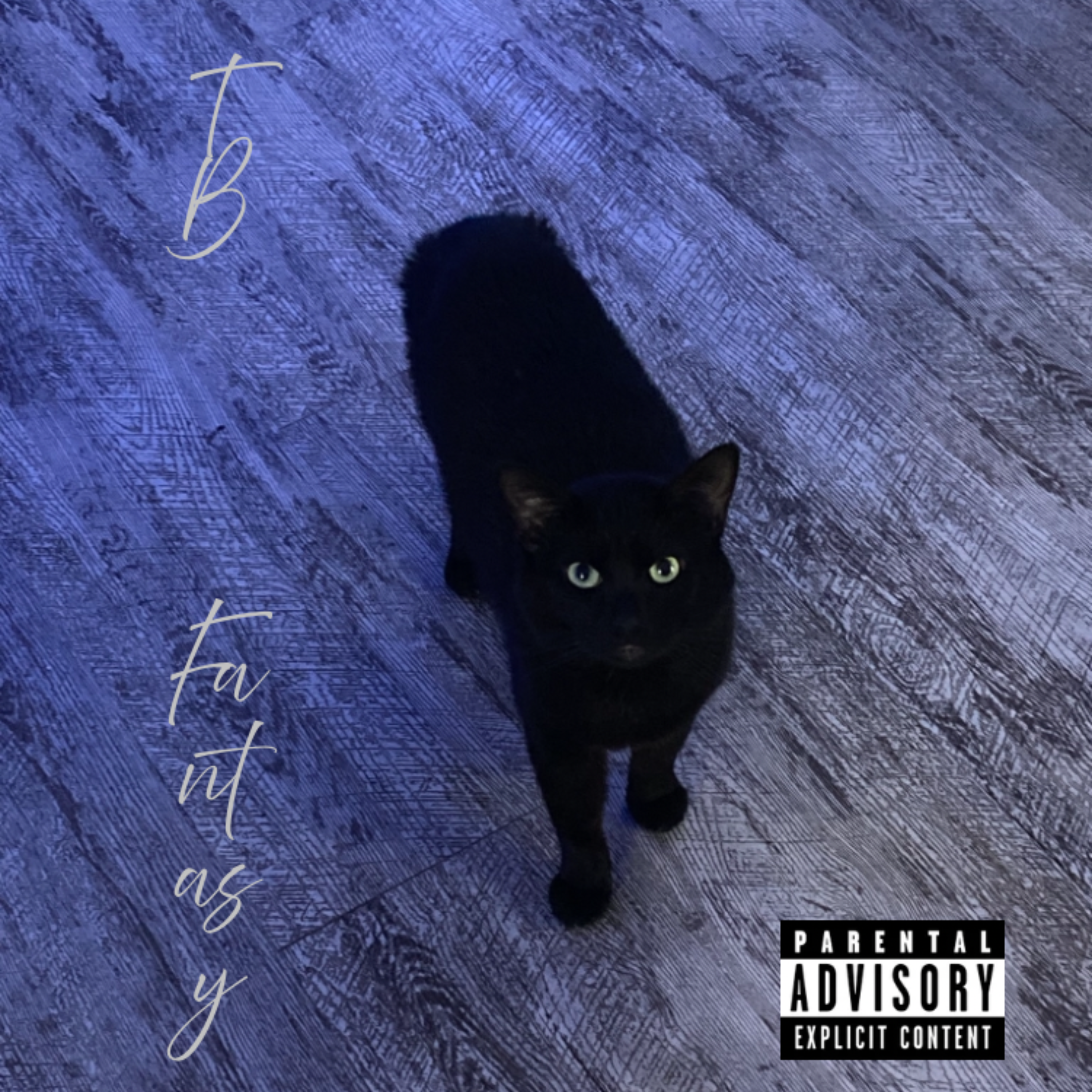 Fantasy by tb cover art