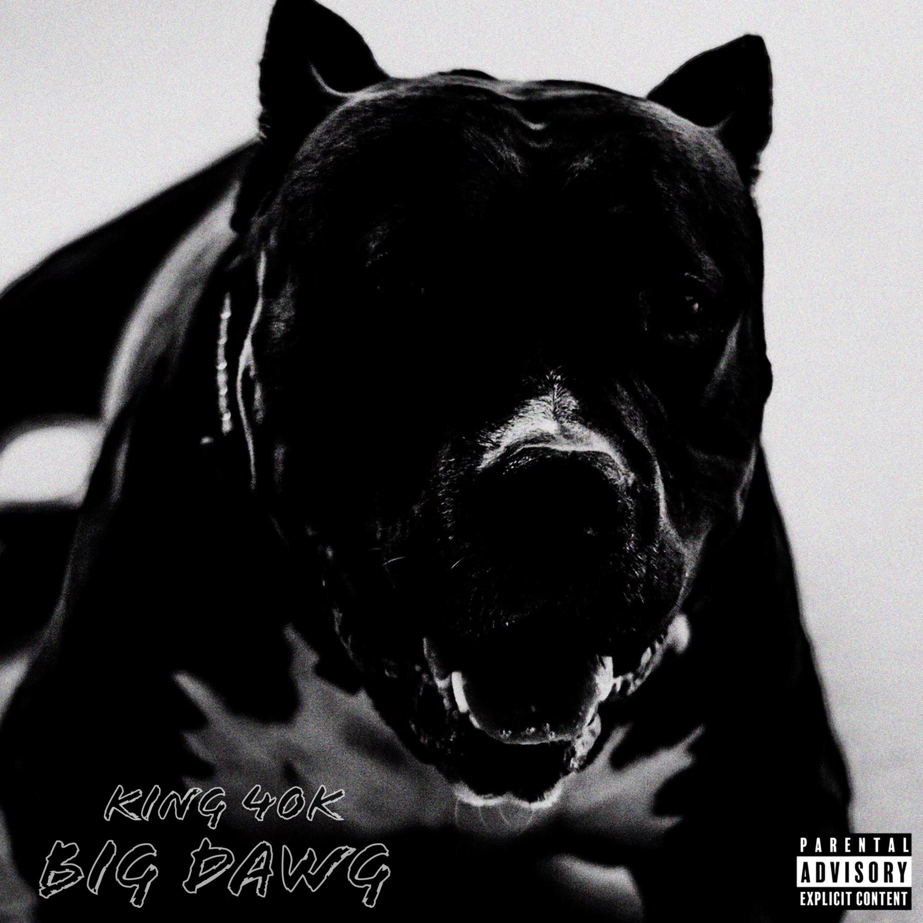 Big Dawg by King 40K cover art