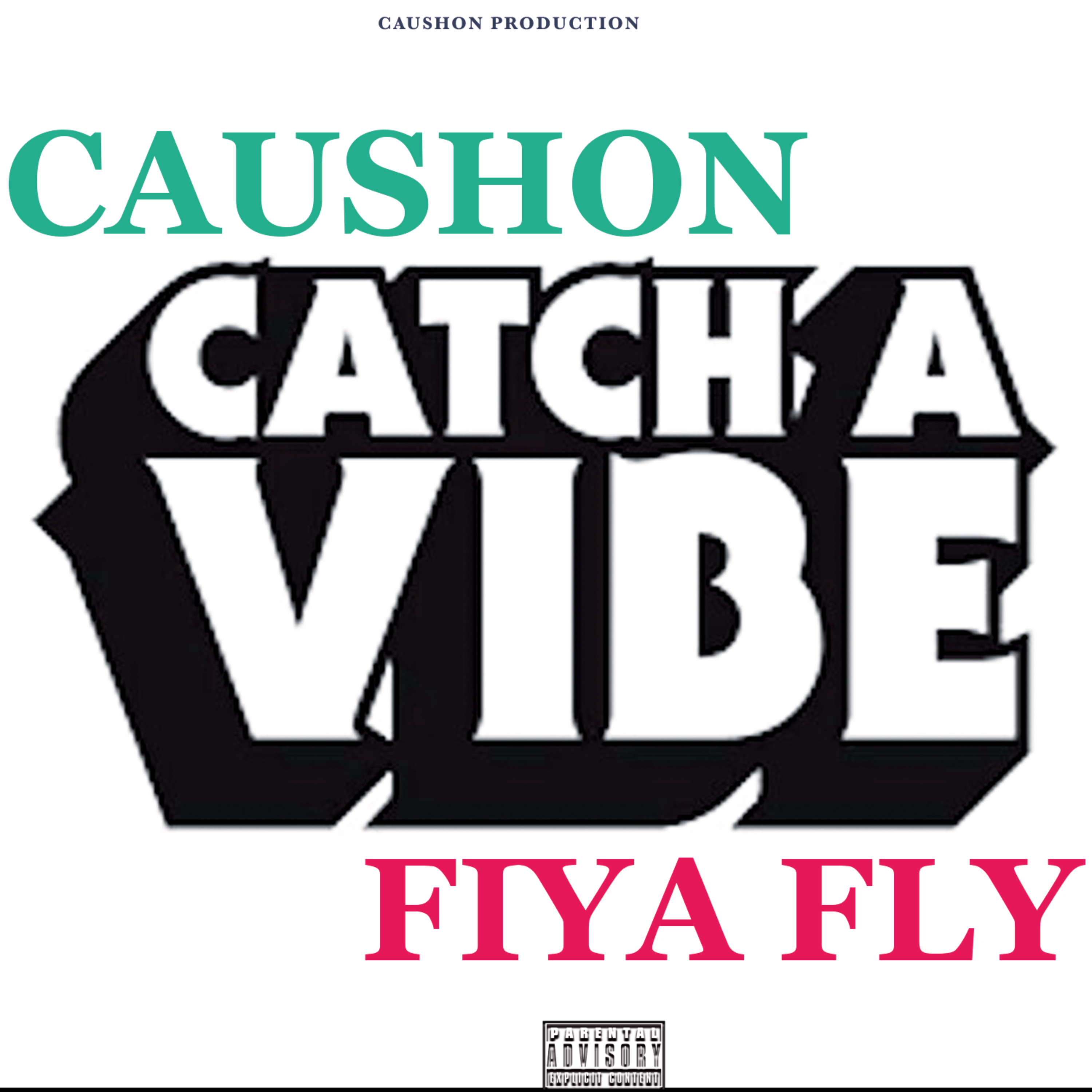 Catch A Vibe artwork
