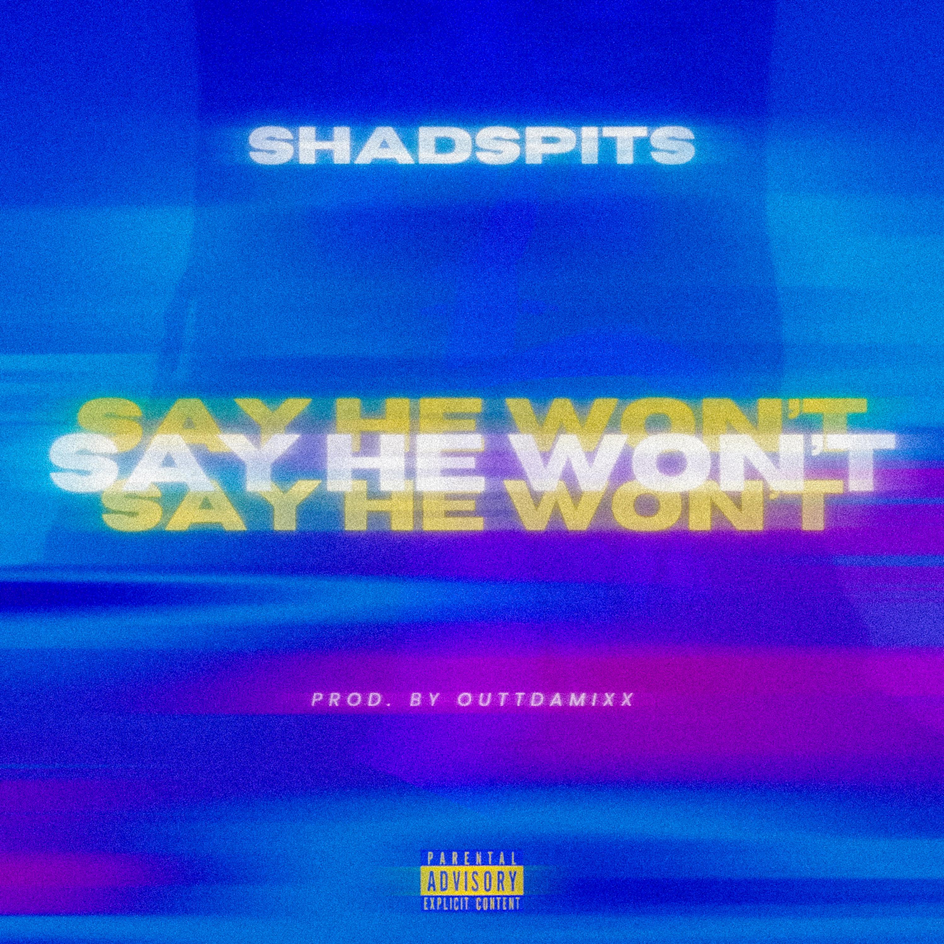 Say He Won’t artwork