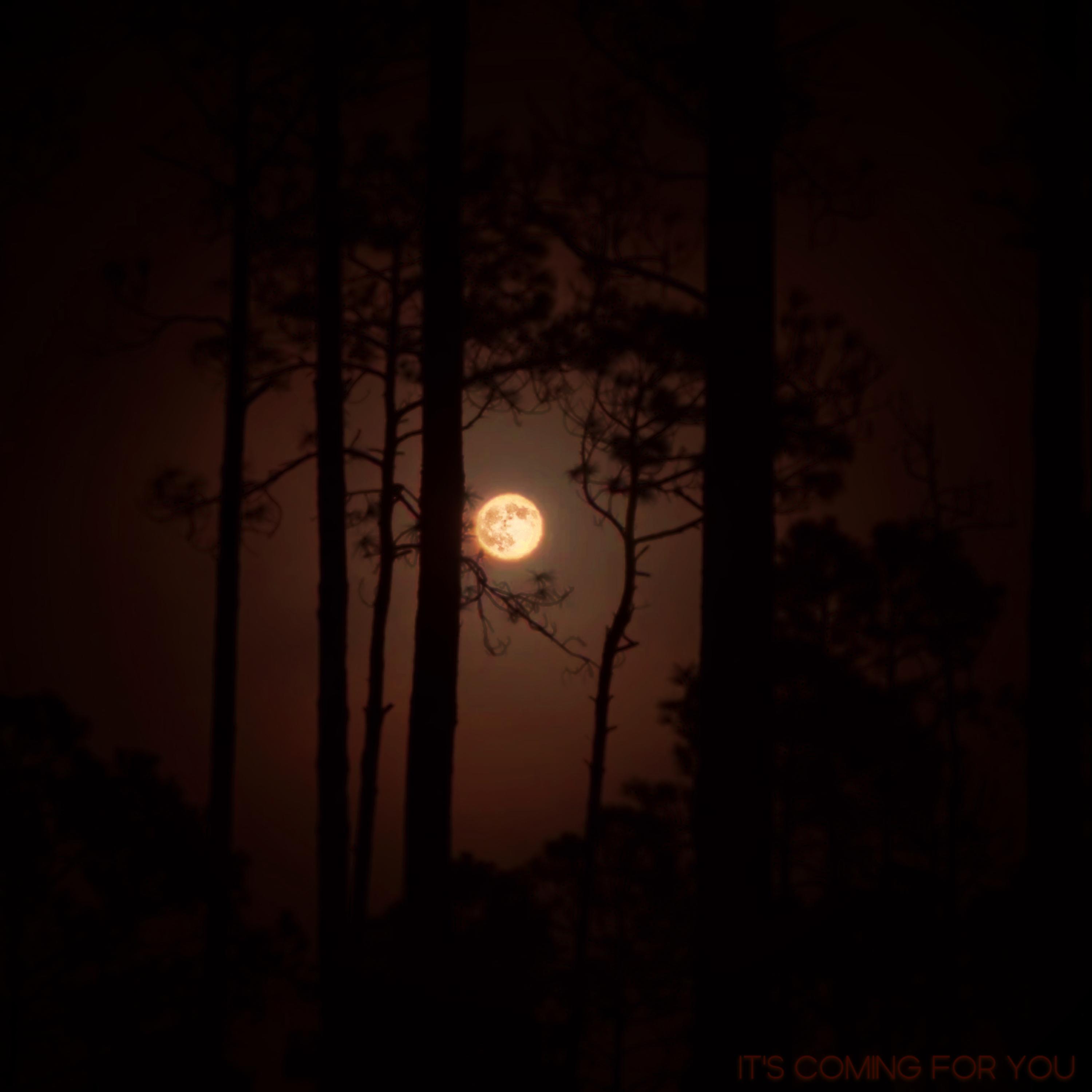 It's Coming for You artwork