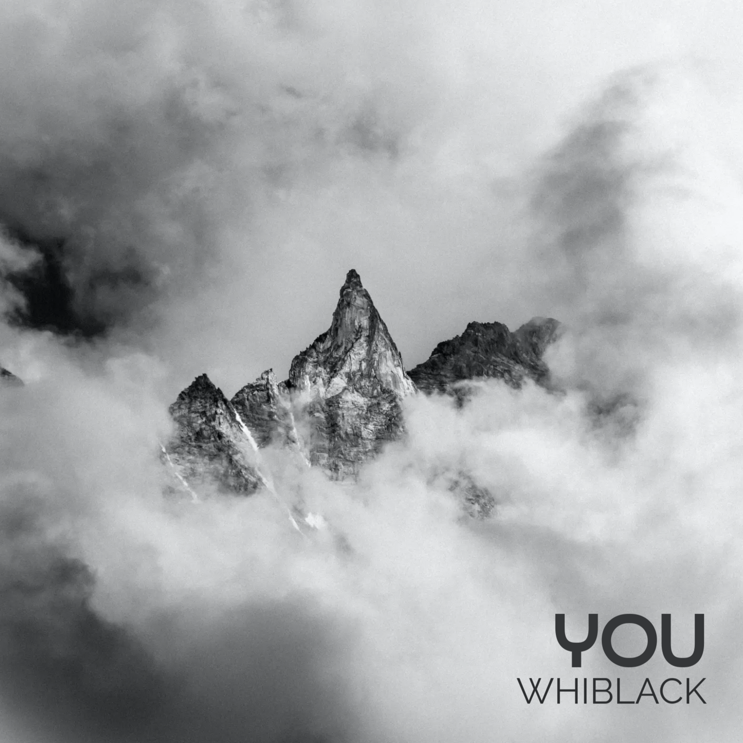 YOU artwork
