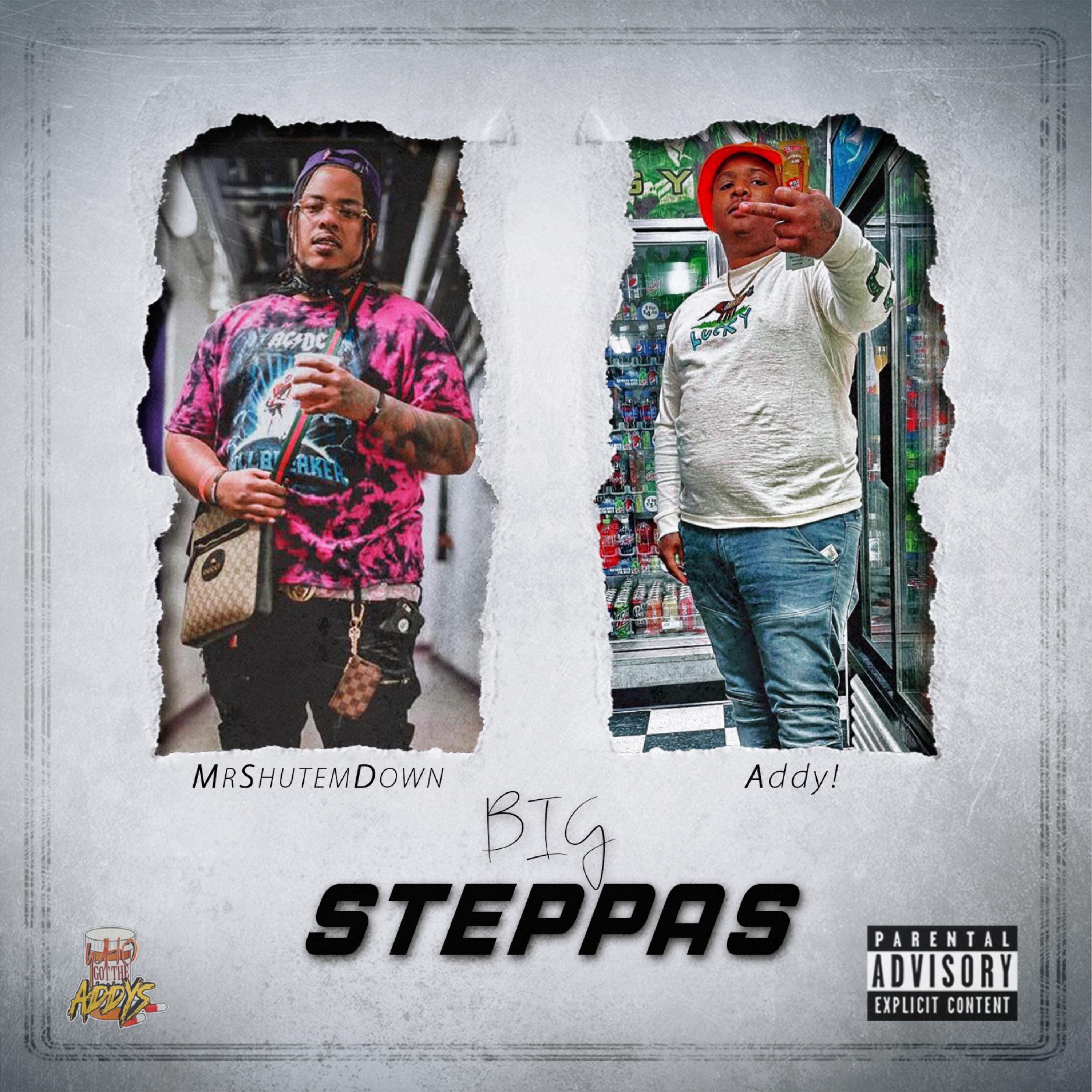 BigSteppas artwork