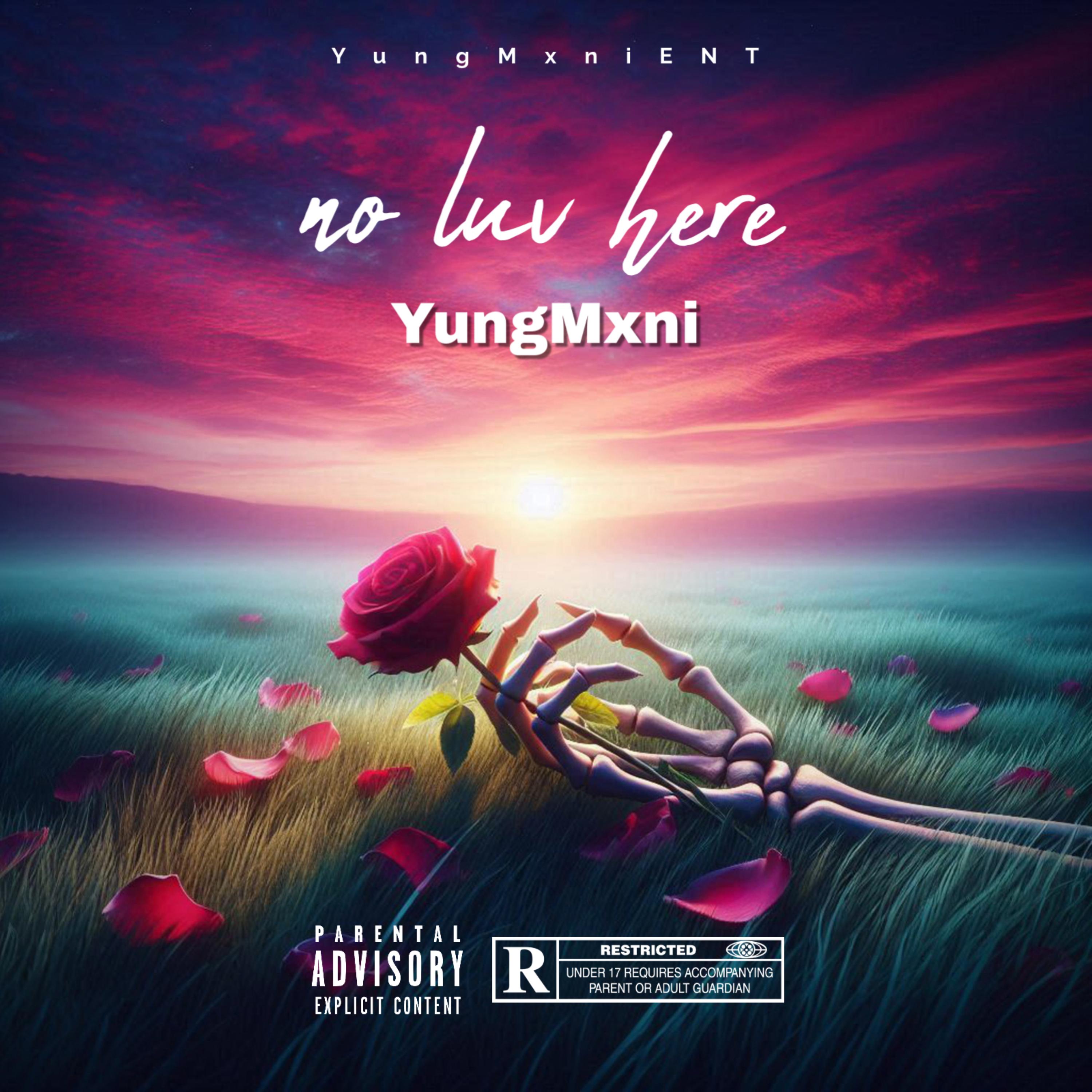 No luv Here artwork