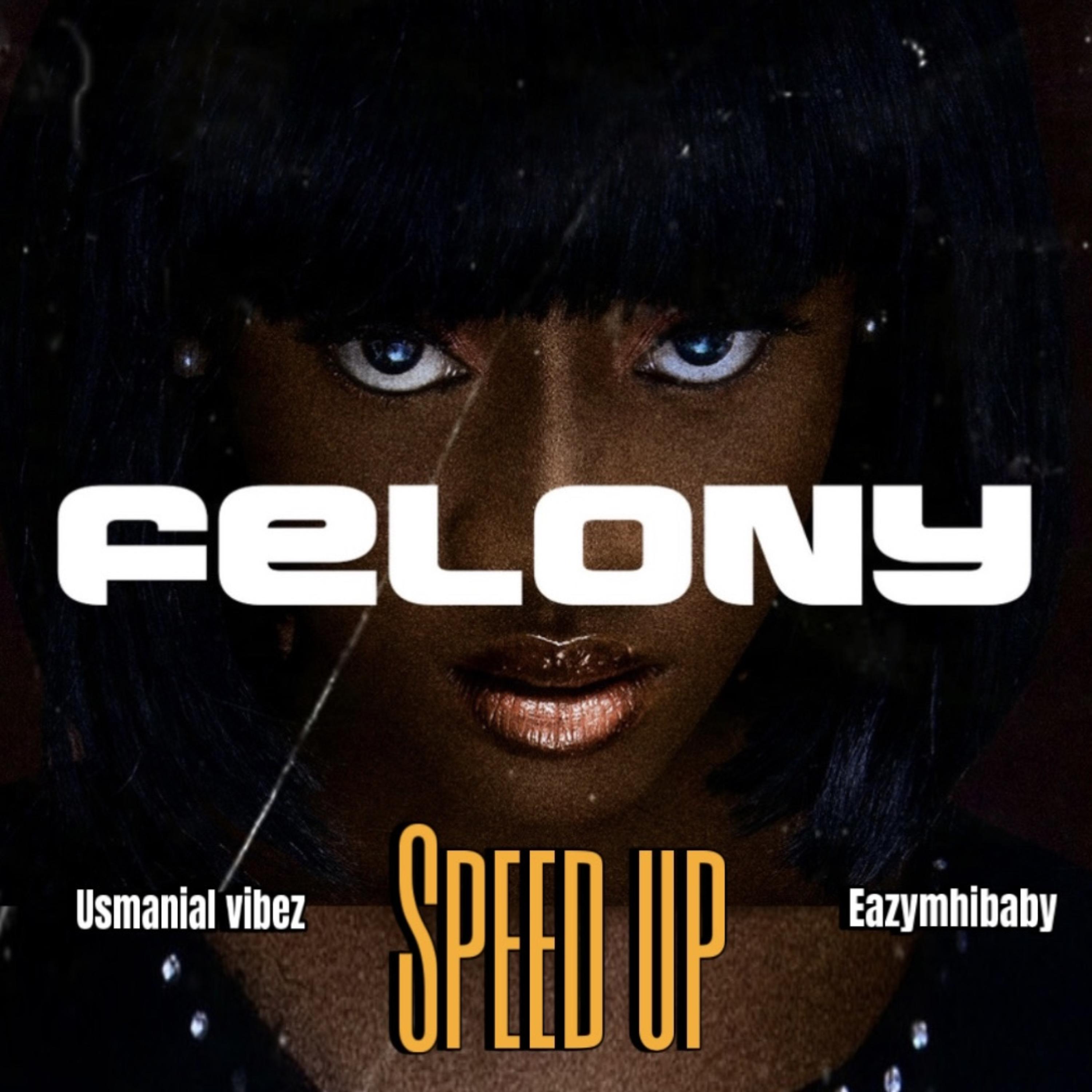 Felony (speed Up) artwork