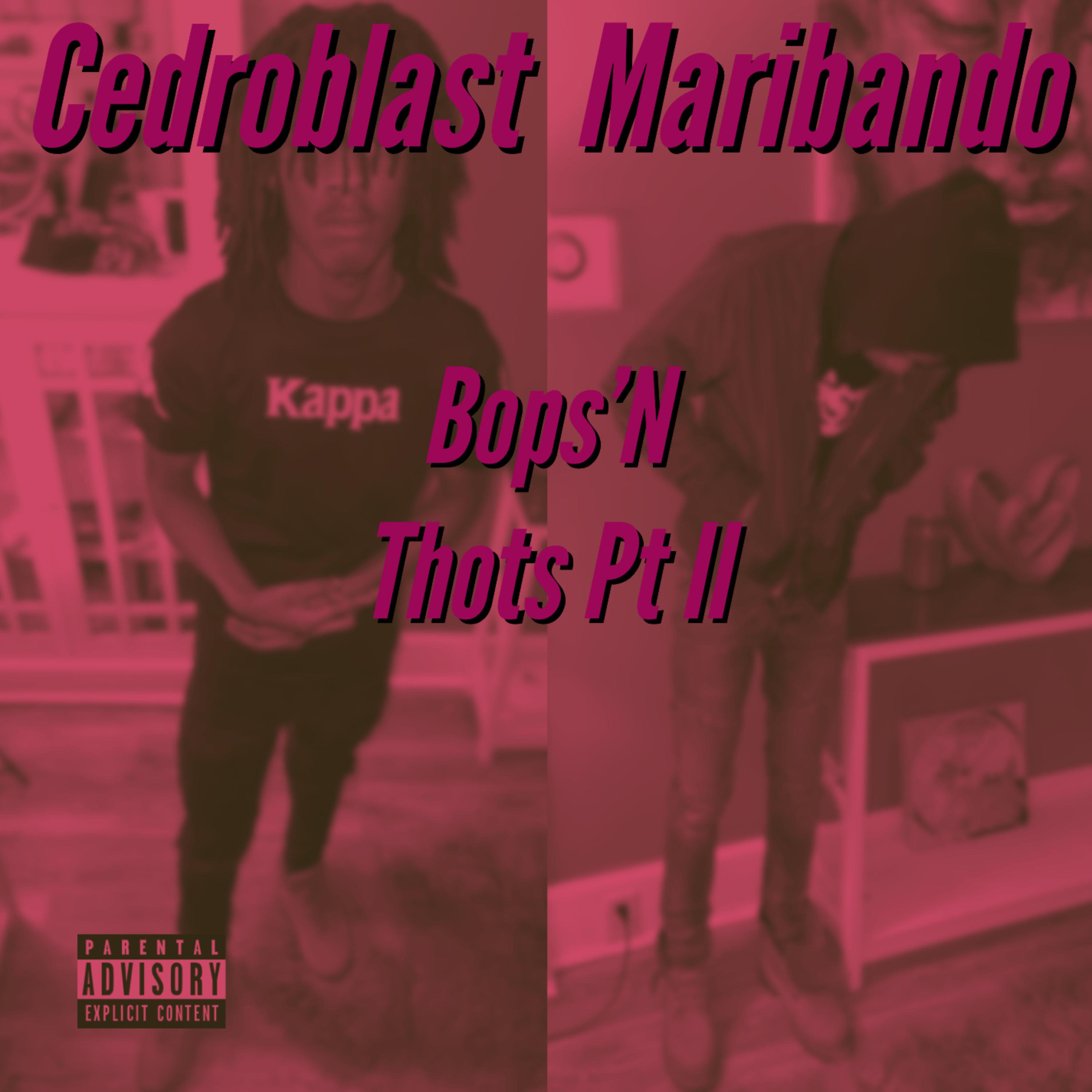 Bops'N Thots Pt. II artwork