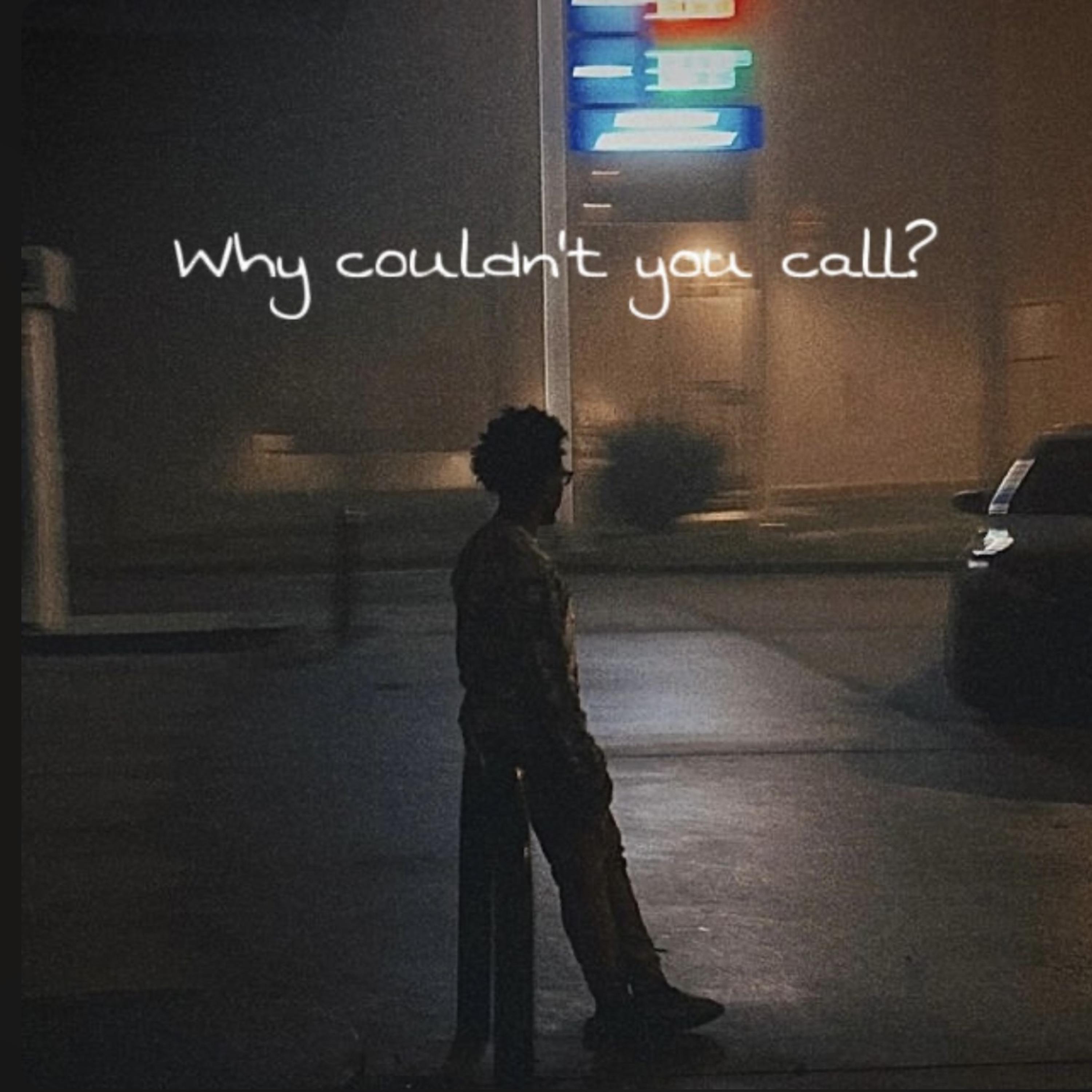 Why Couldn’t You Call? by datboiidj cover art