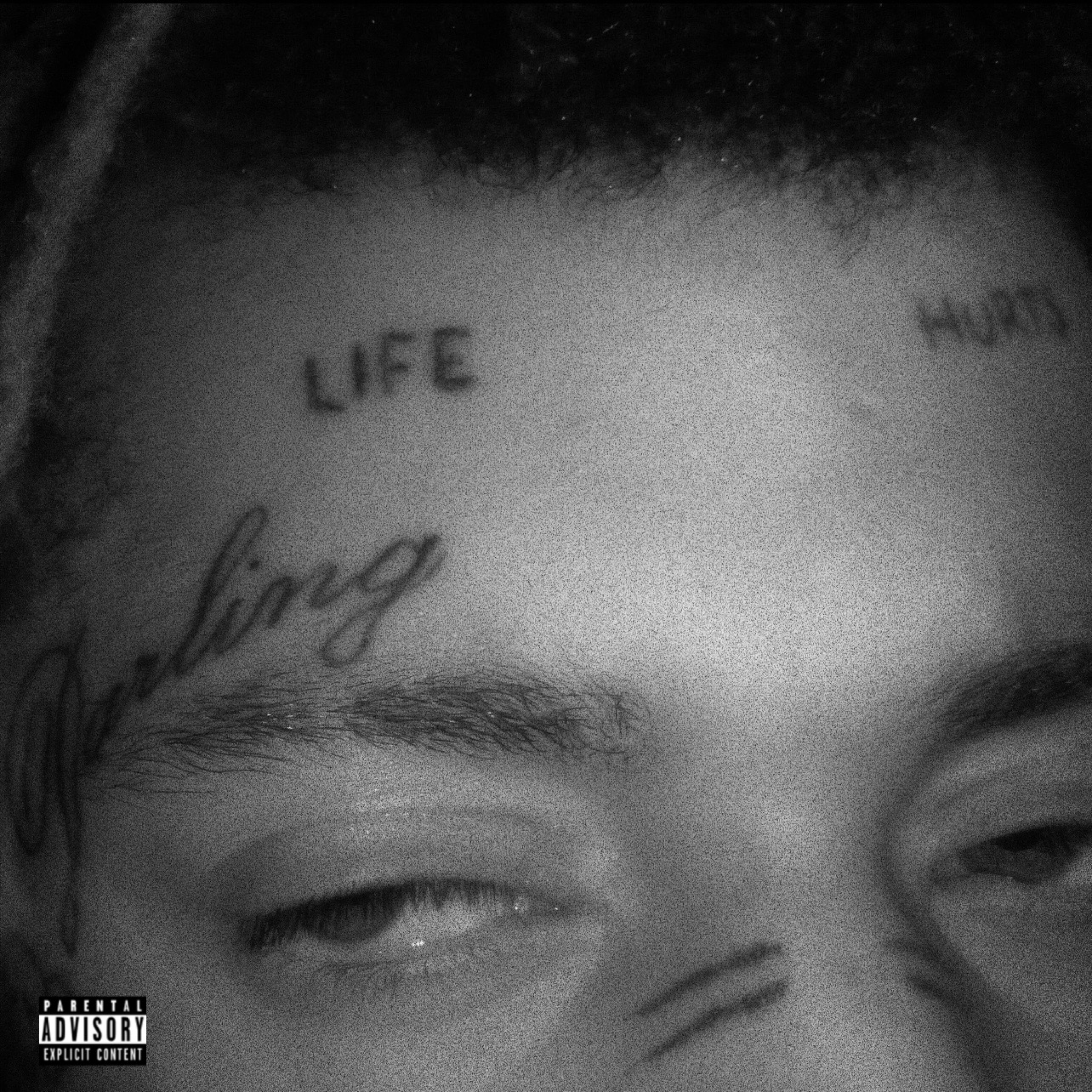 Skengs, Switches & Demonias artwork