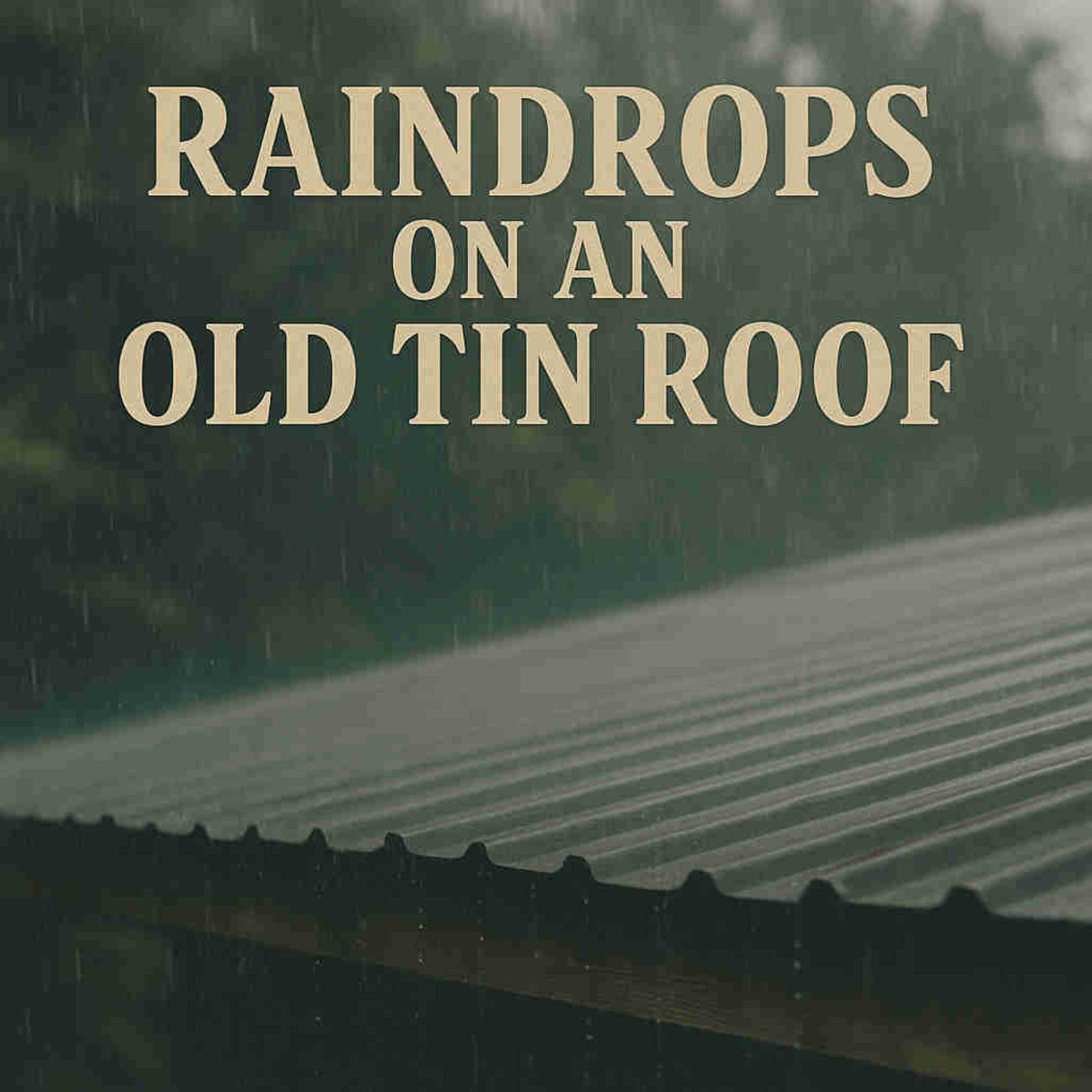 Rain Drops On An Old Tin Roof by Diesel And Dog Tags cover art