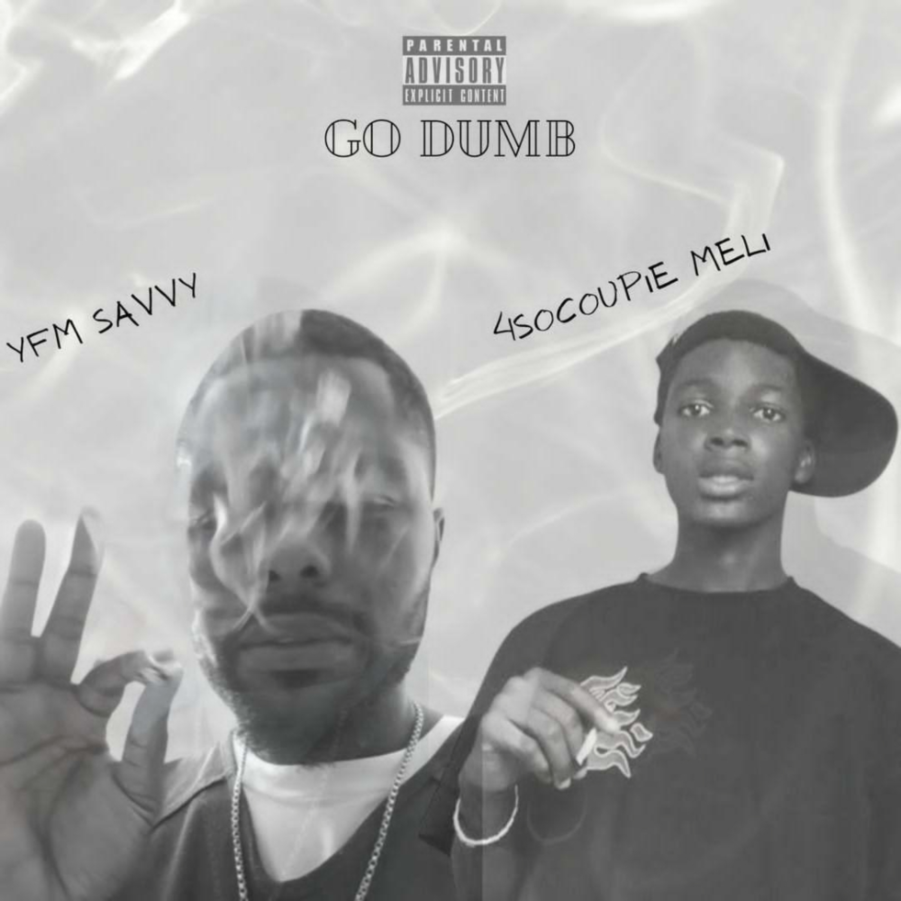 Go Dumb artwork