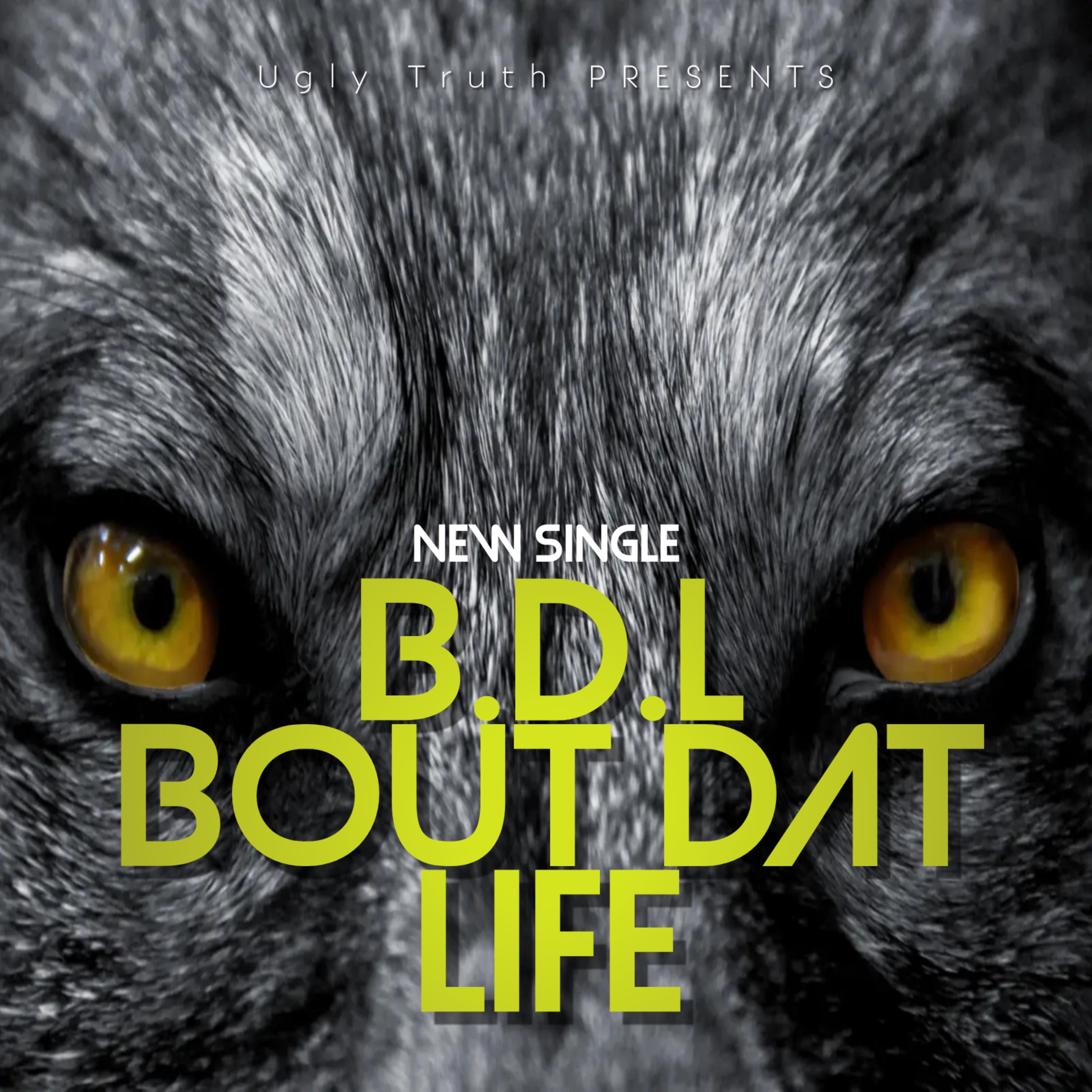 B.D.L by UglyTruth cover art
