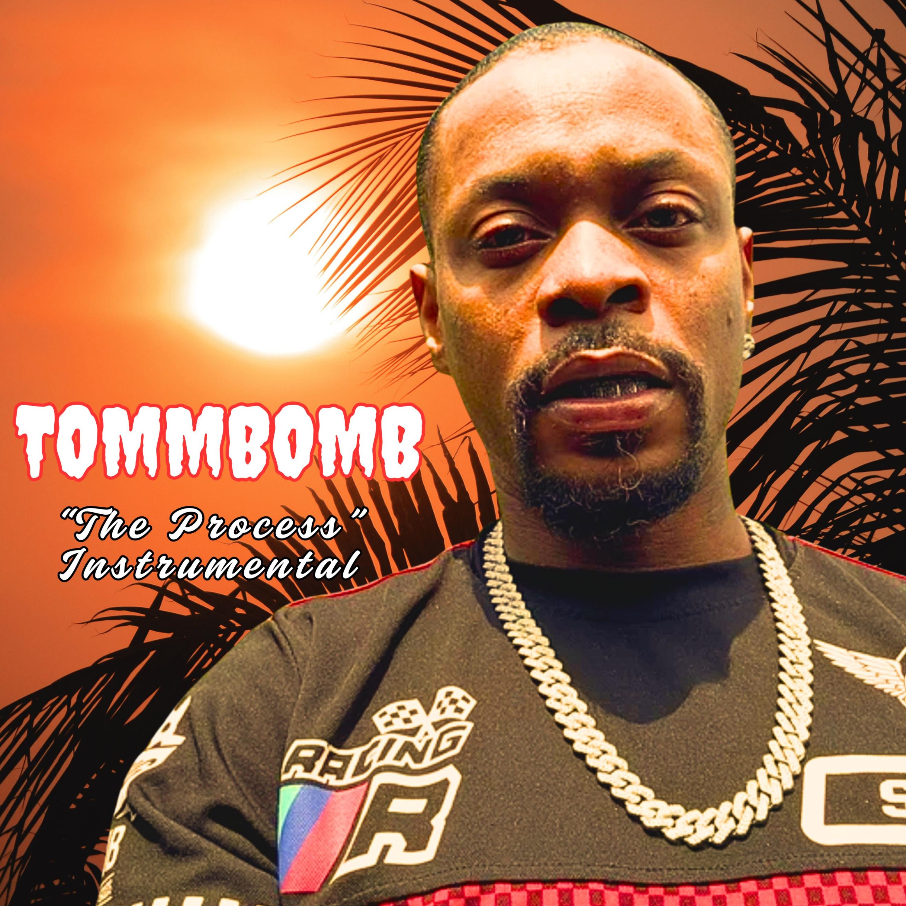 The Process (Instrumental) artwork