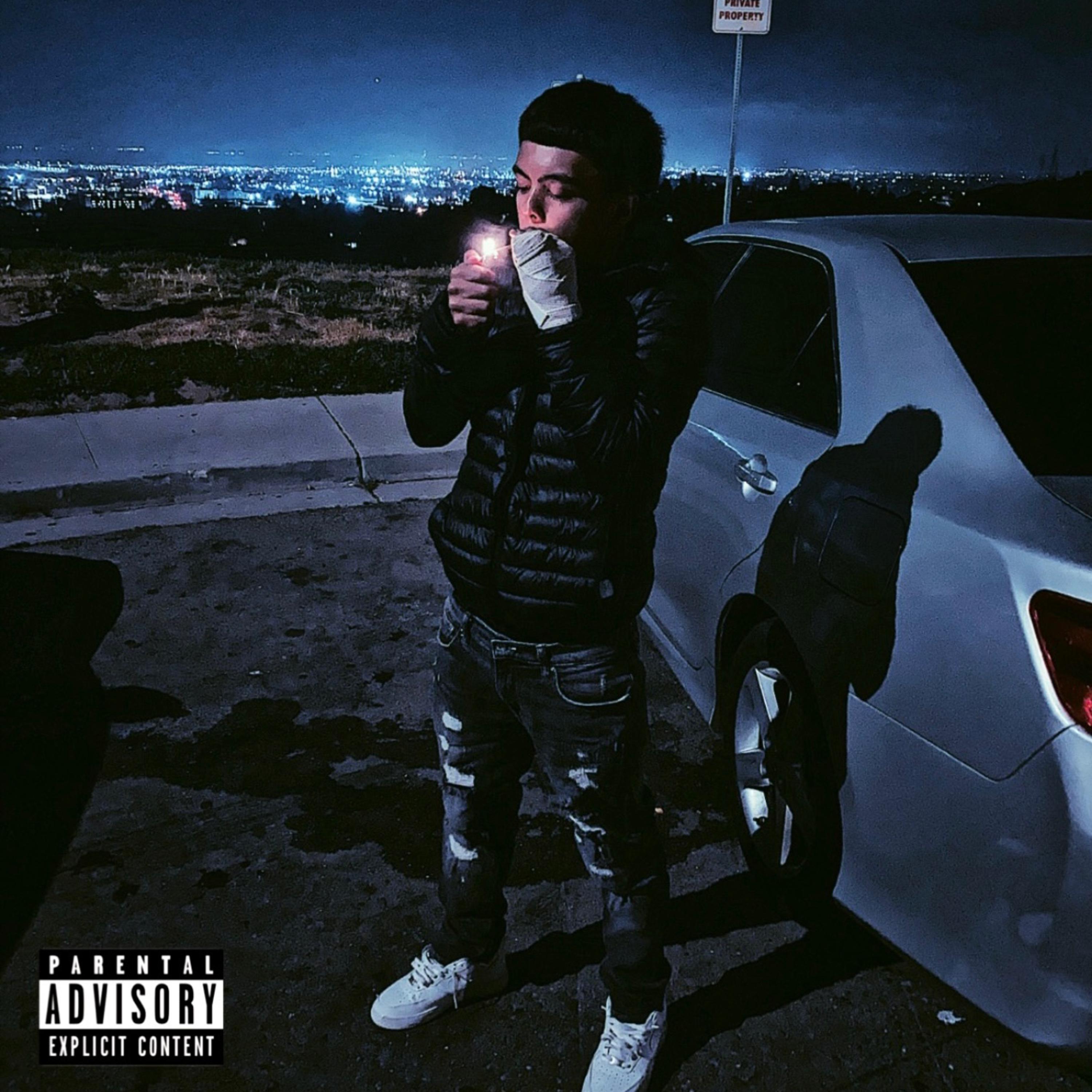 Nocturnal Playboy artwork