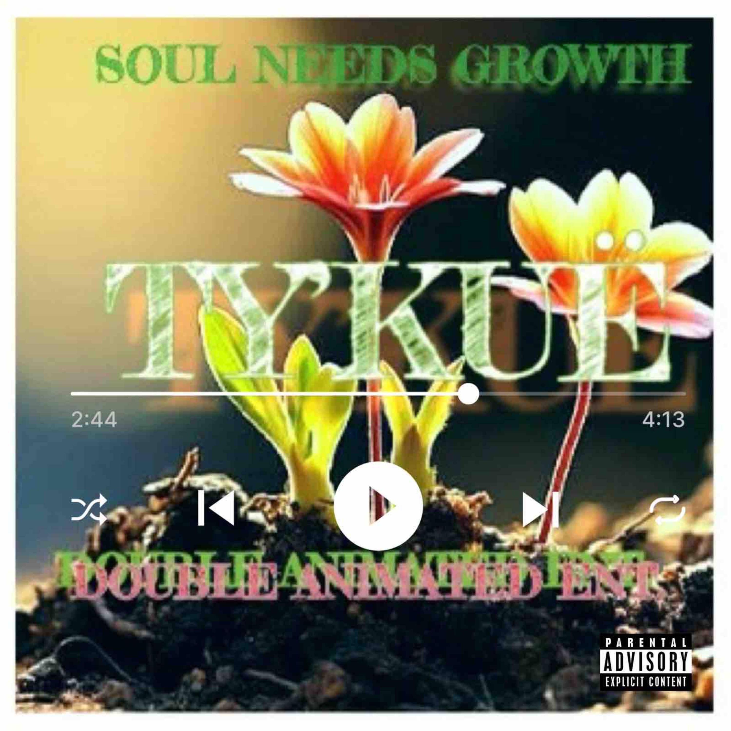 SOUL NEEDS GROWTH artwork