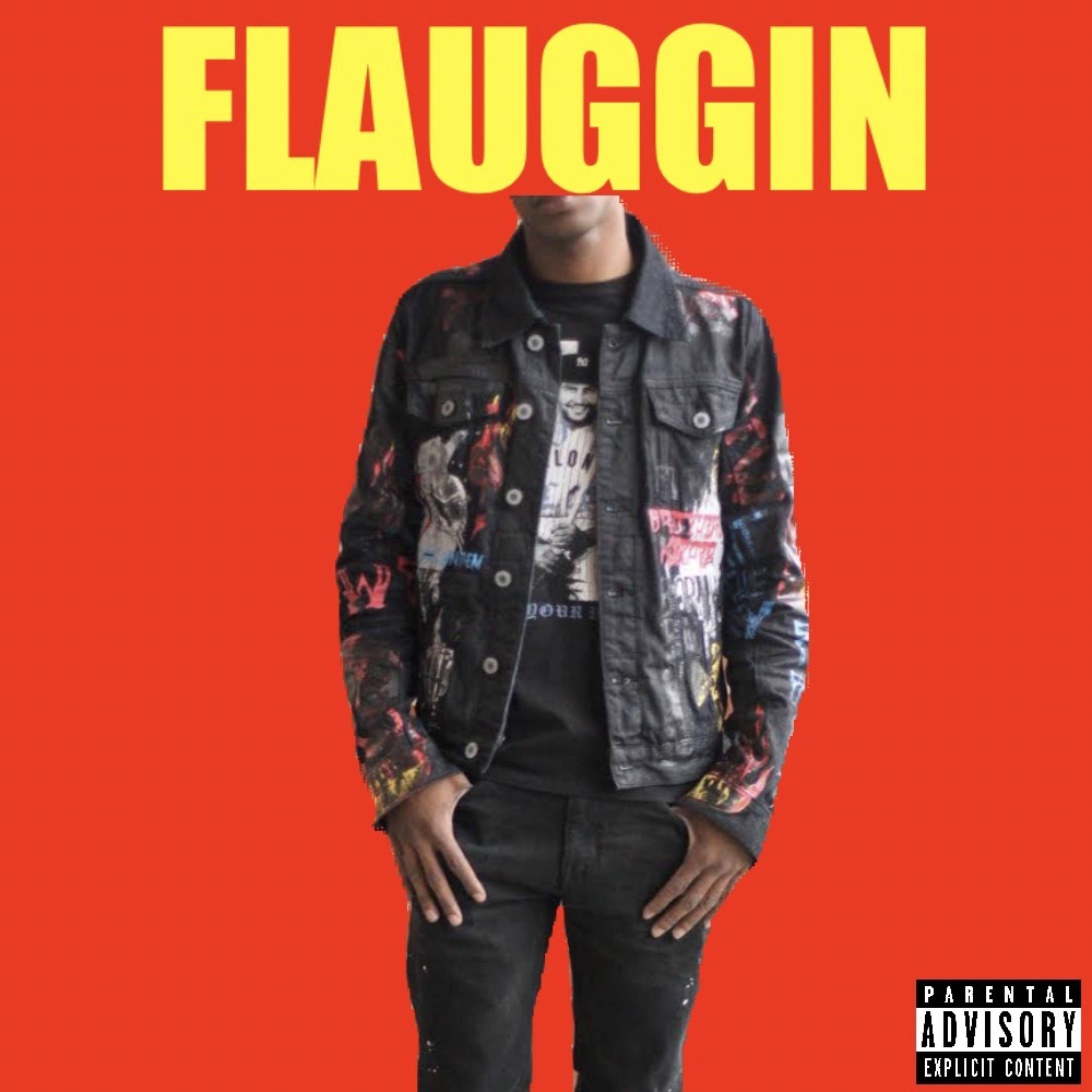 FLAUGGIN artwork