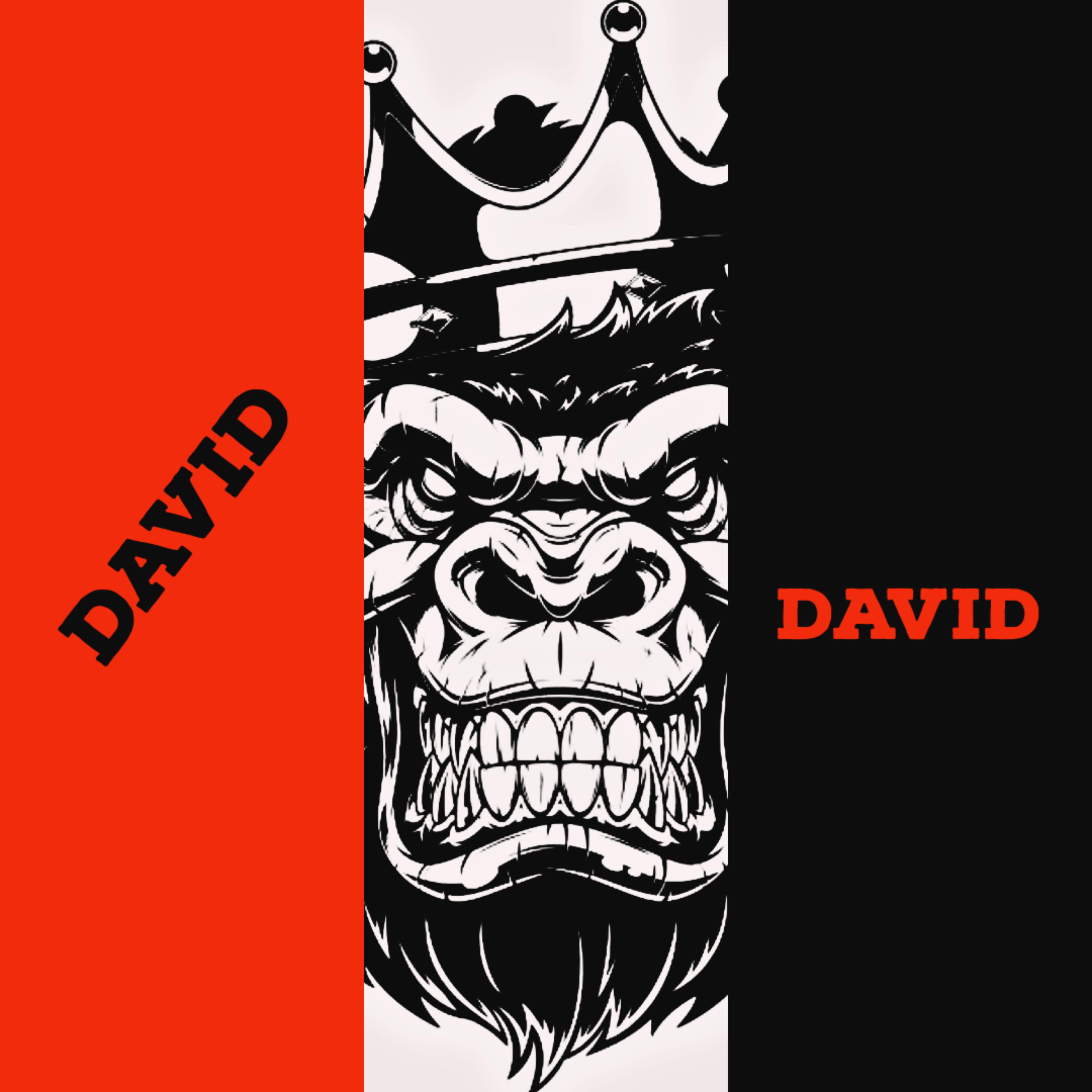 DAVID artwork