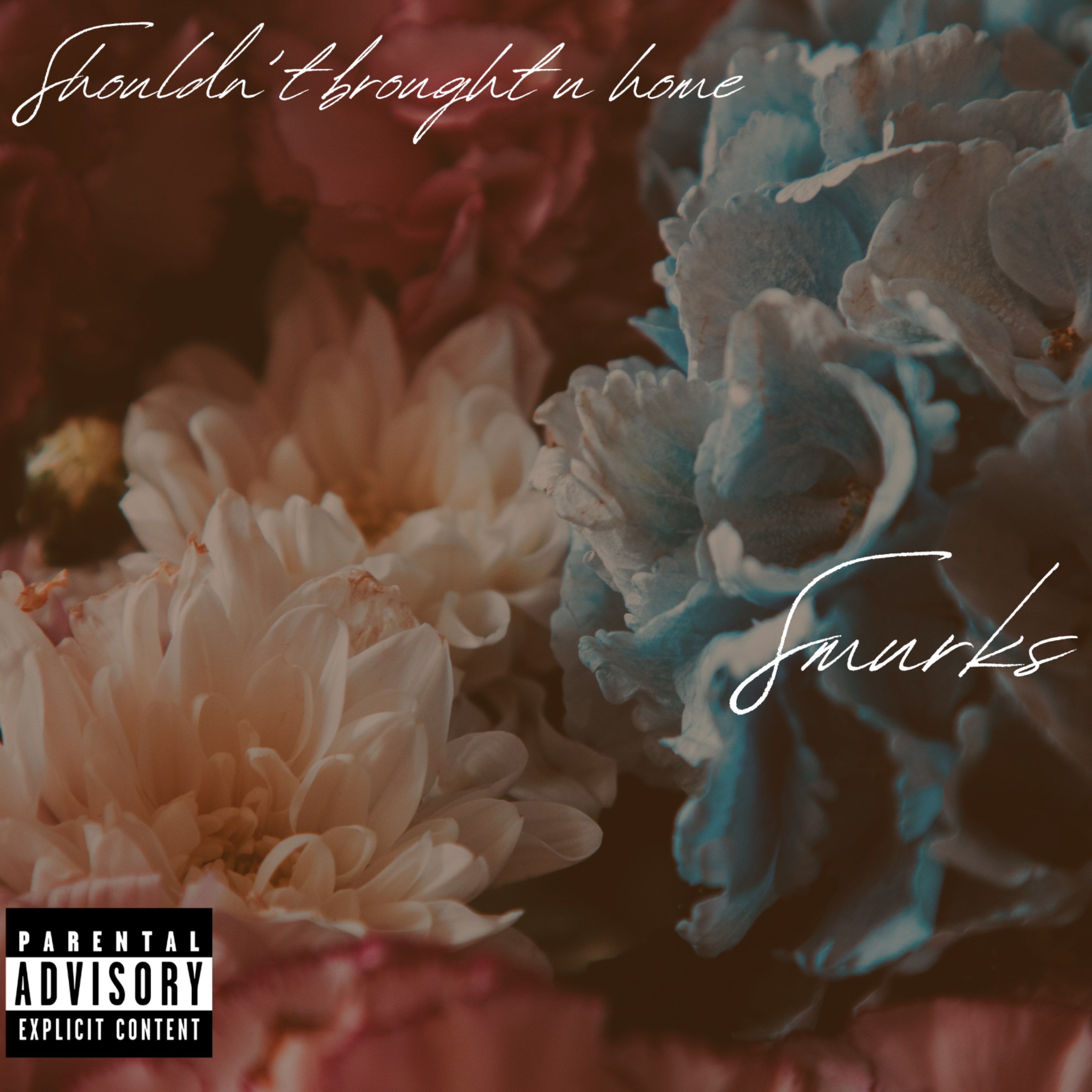 Shouldn't Brought U Home artwork