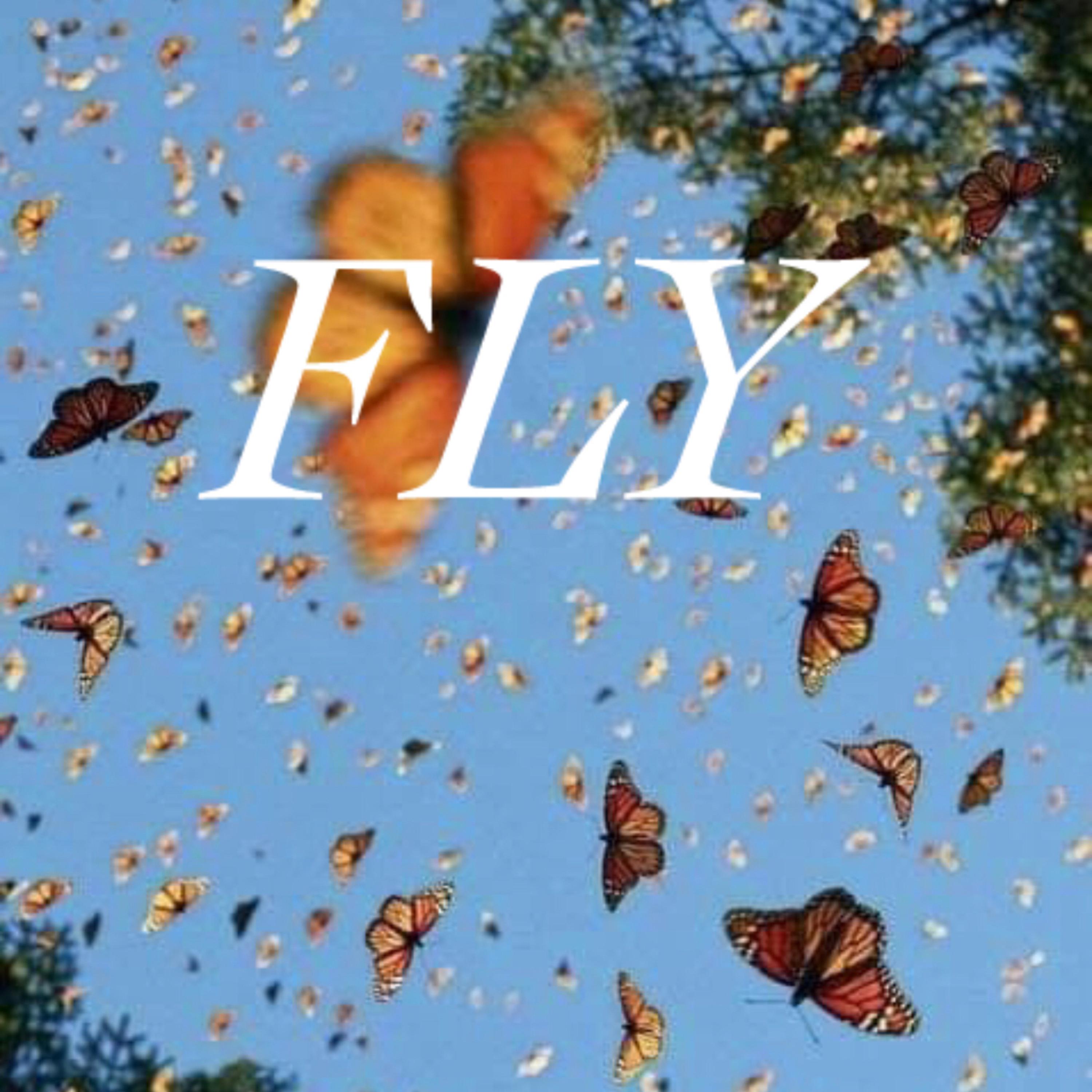 Fly artwork