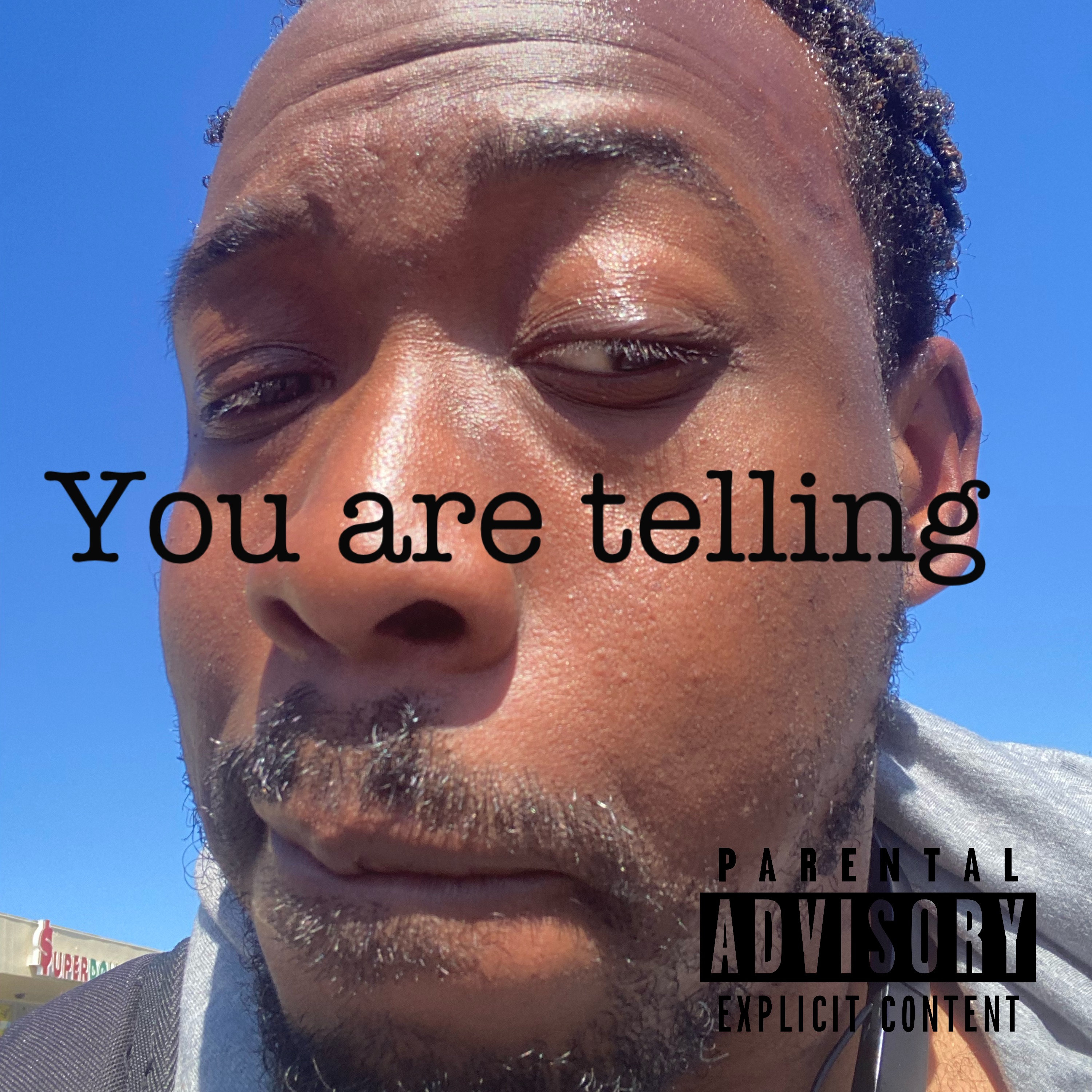 You Are Telling artwork