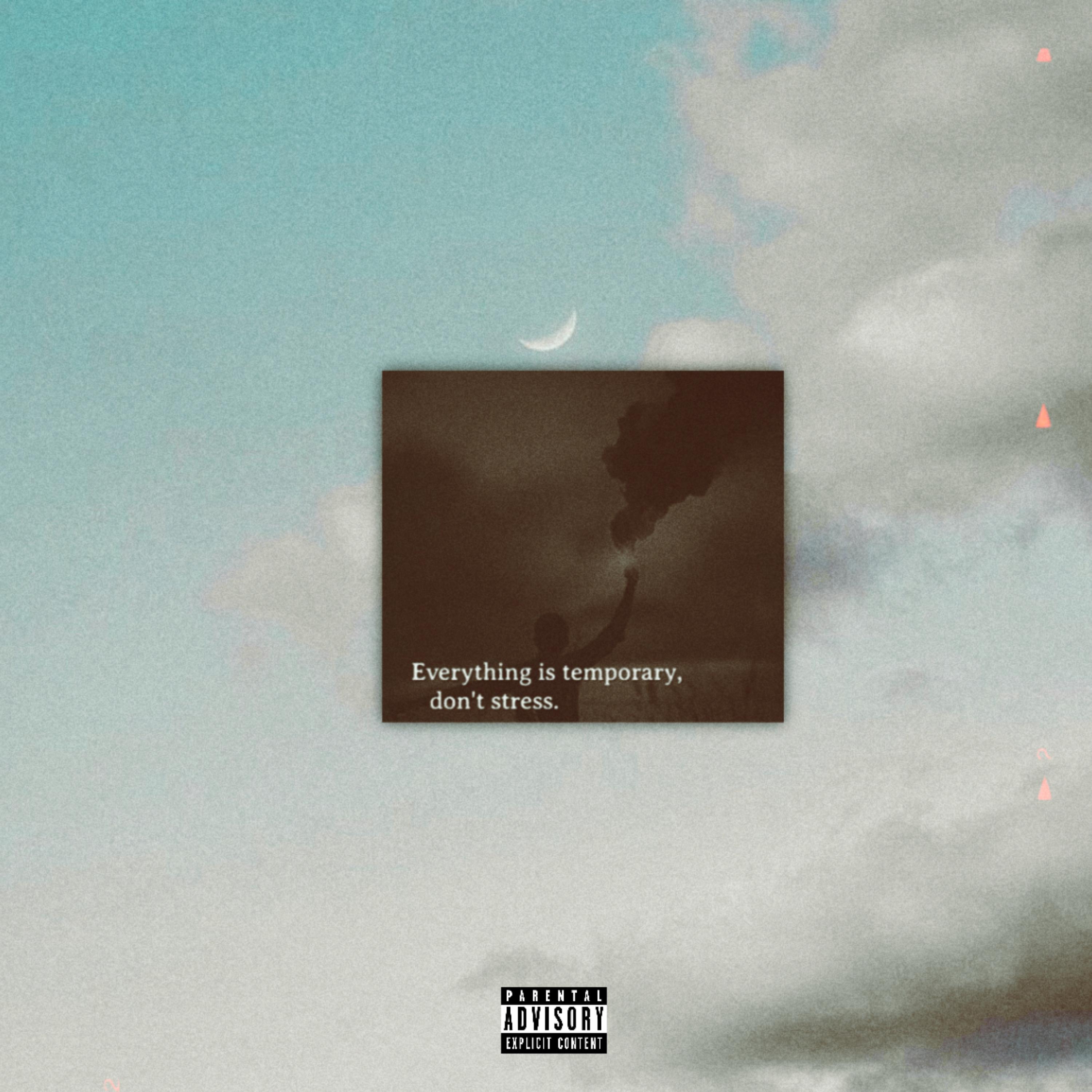 Everything Is Temporary artwork