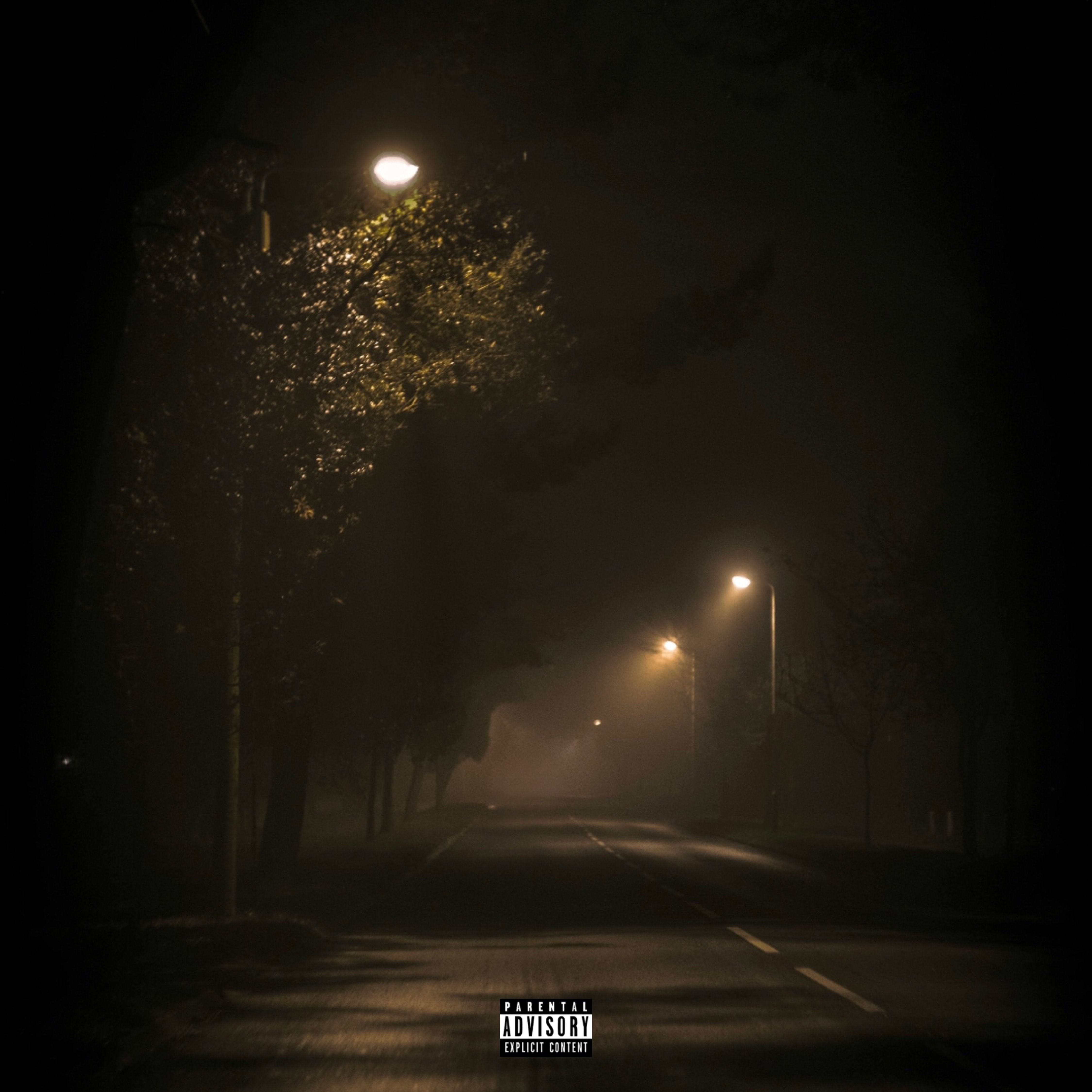 THE PARTY artwork