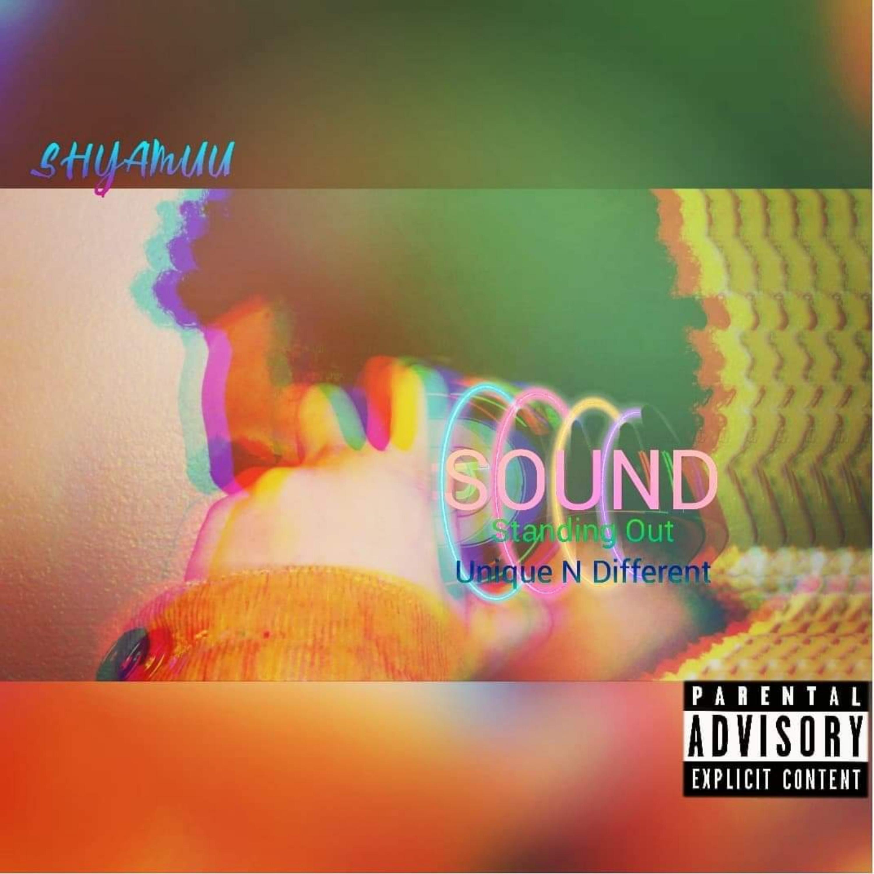 SOUND Standing Out Unique N Different artwork