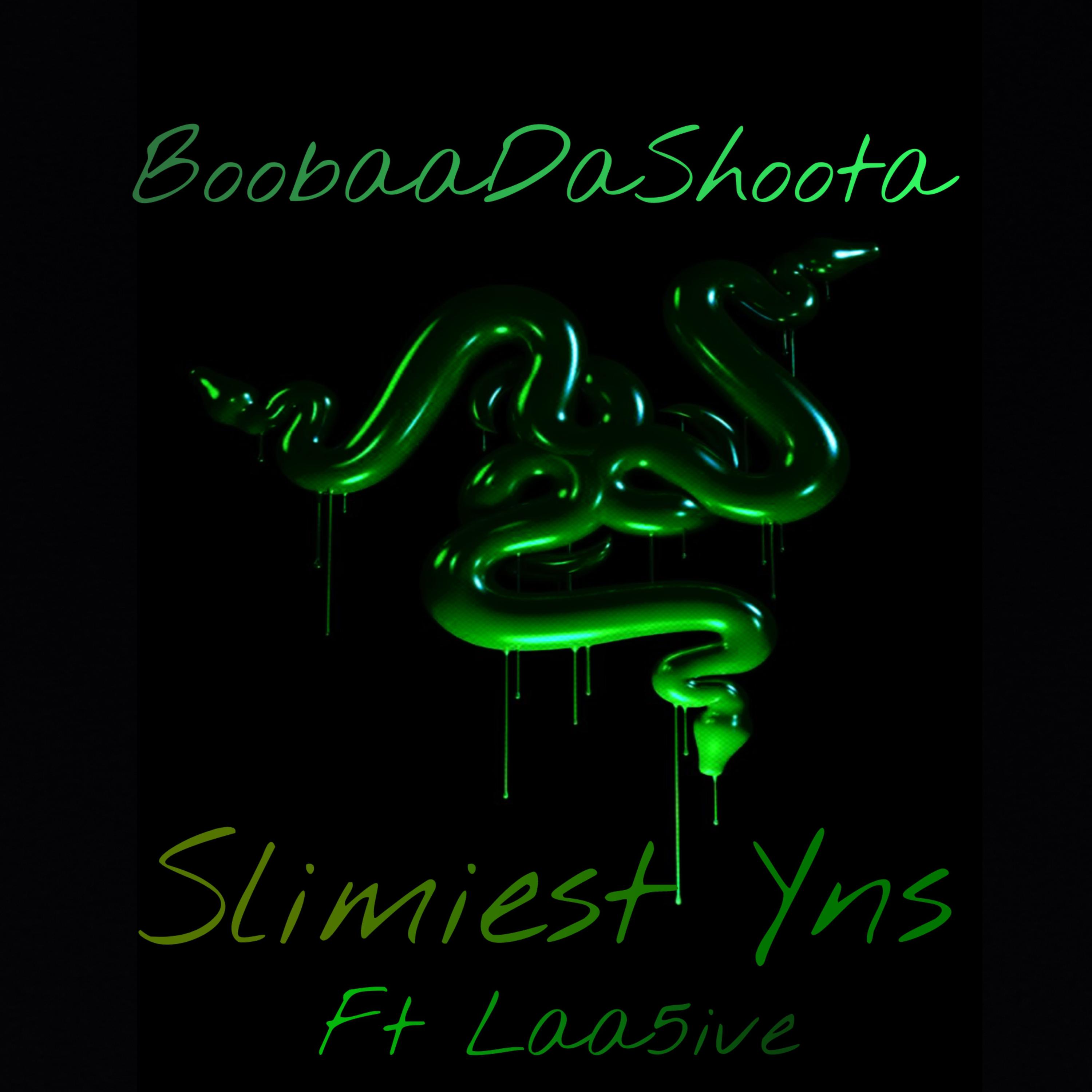 Slimiest Yns artwork
