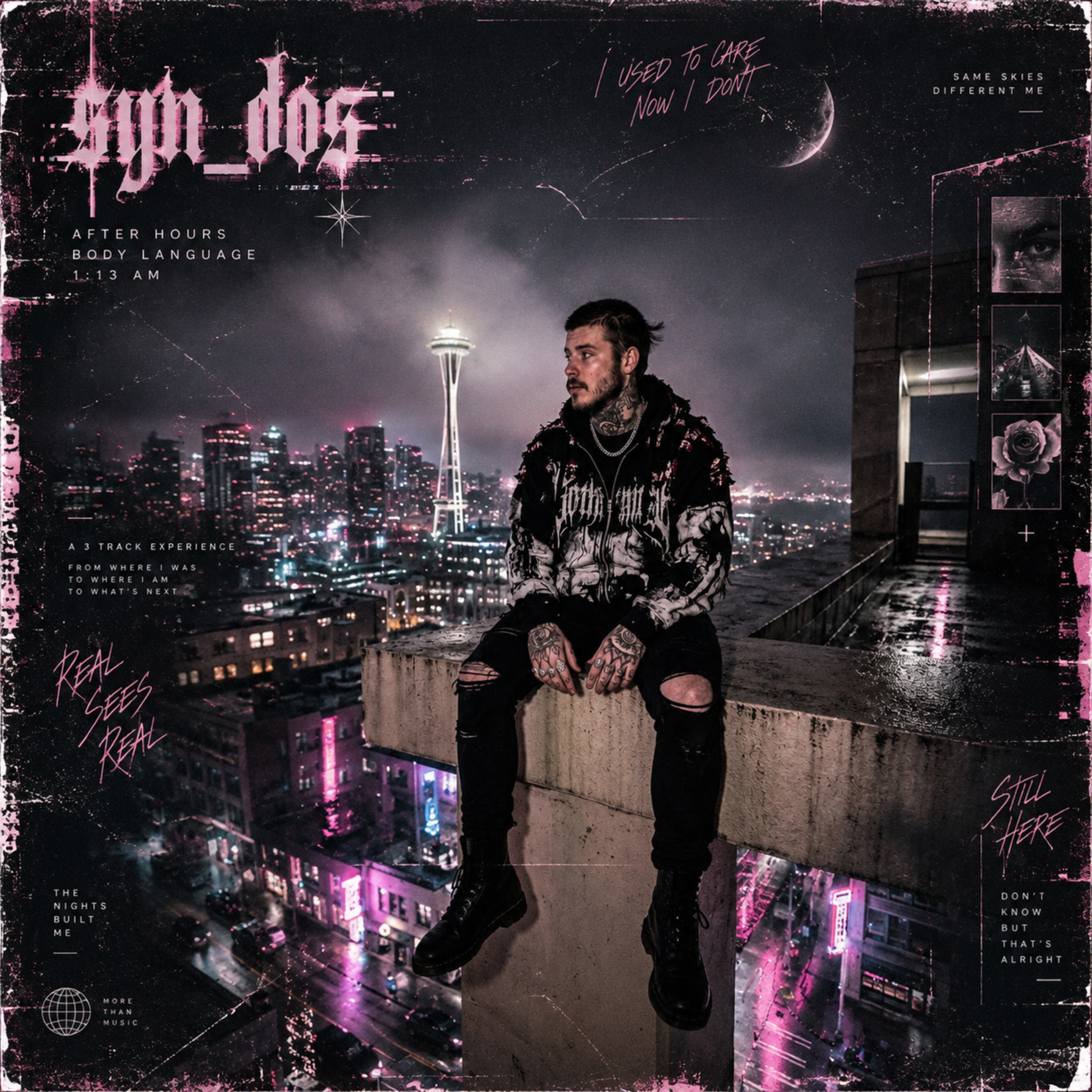 Real Sees Real by syn_dos cover art