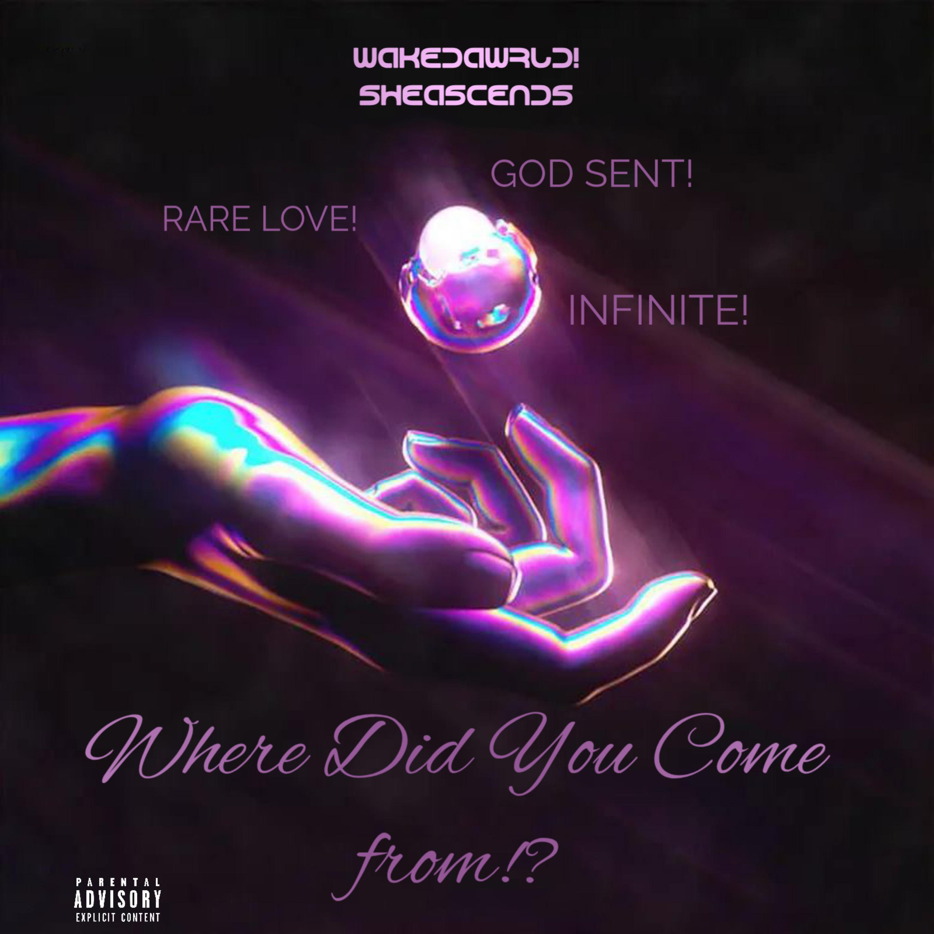 WHERE DID YOU COME FROM!? artwork