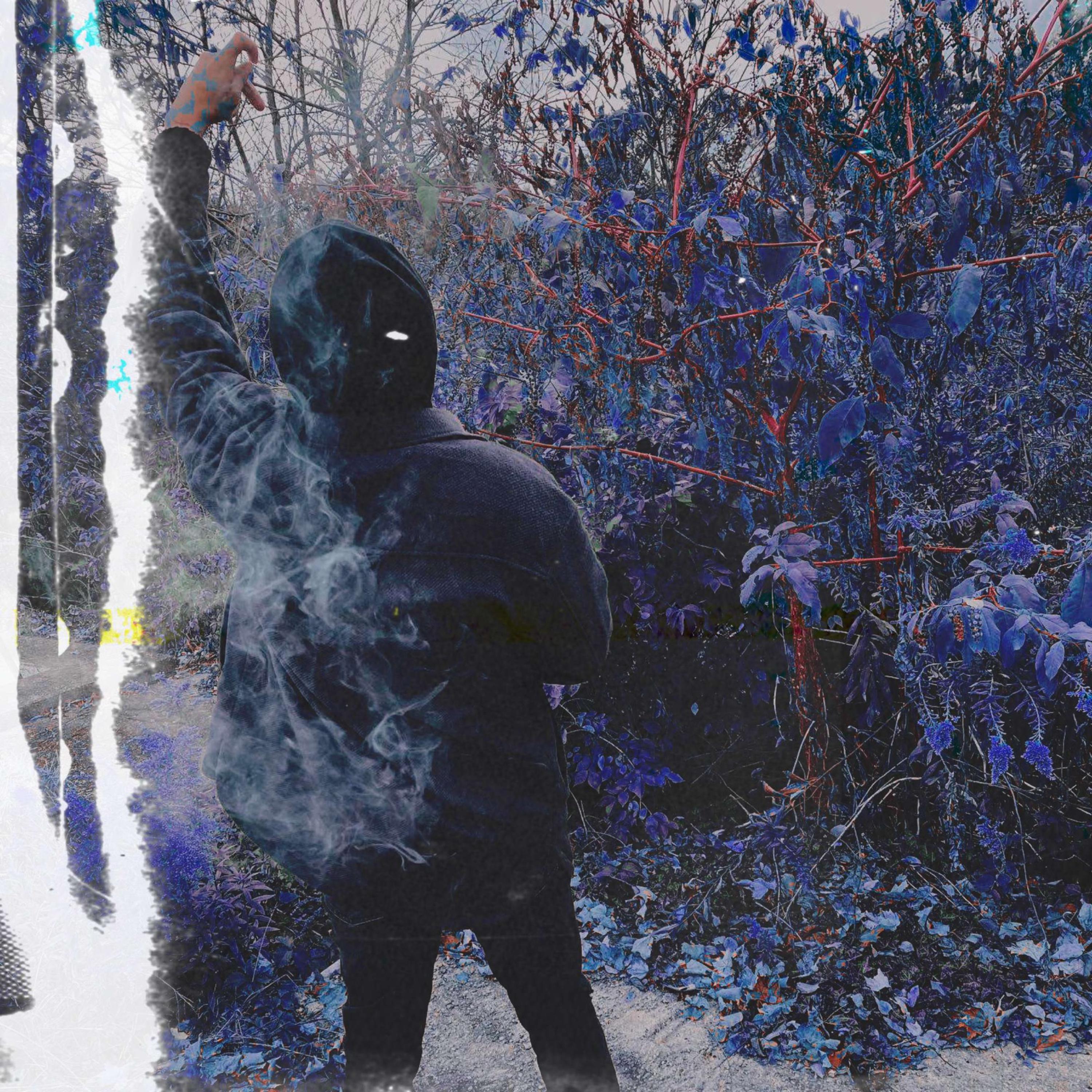 FishScale artwork