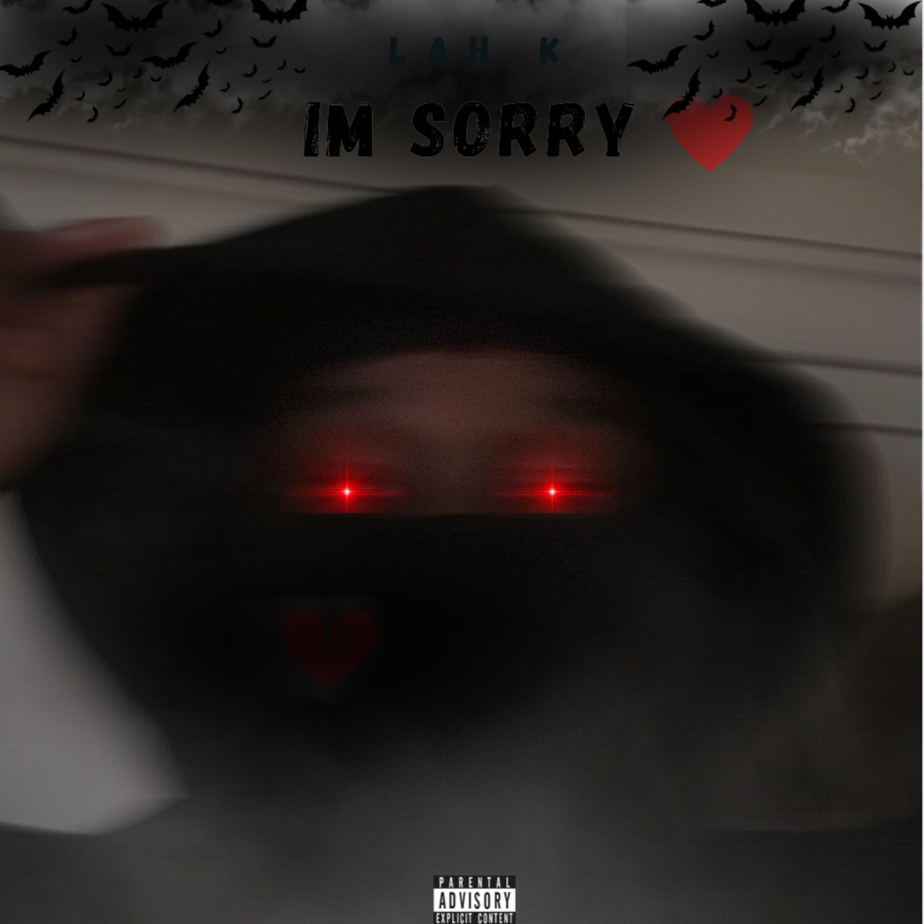 I’m Sorry artwork
