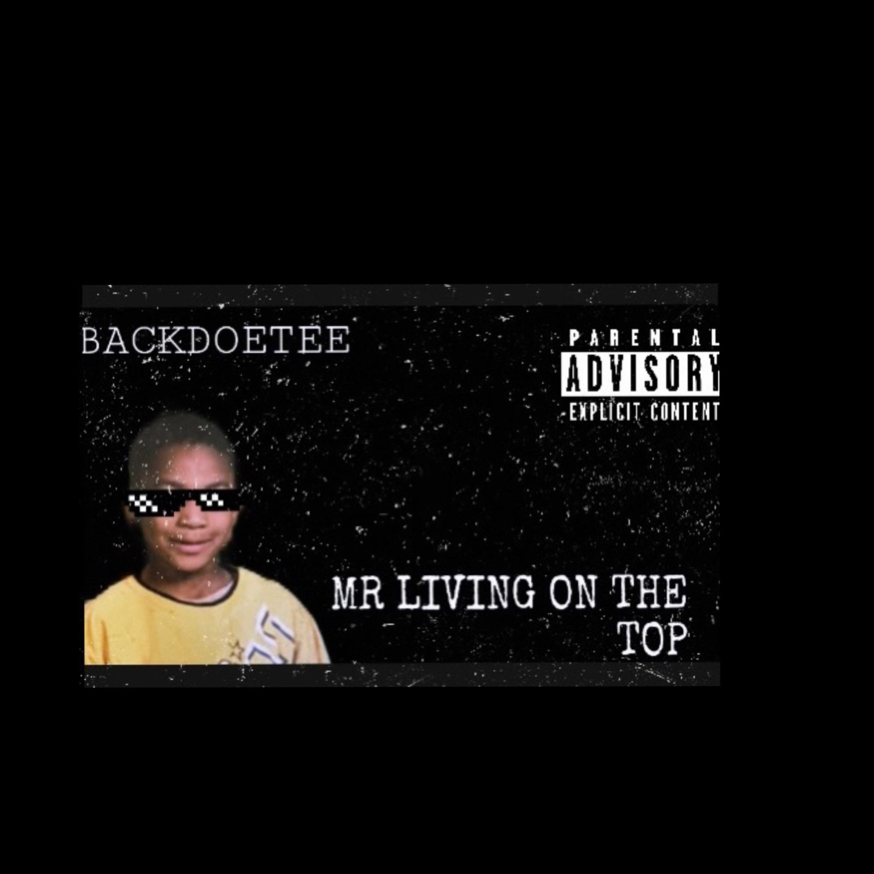 MR Living On The Top artwork