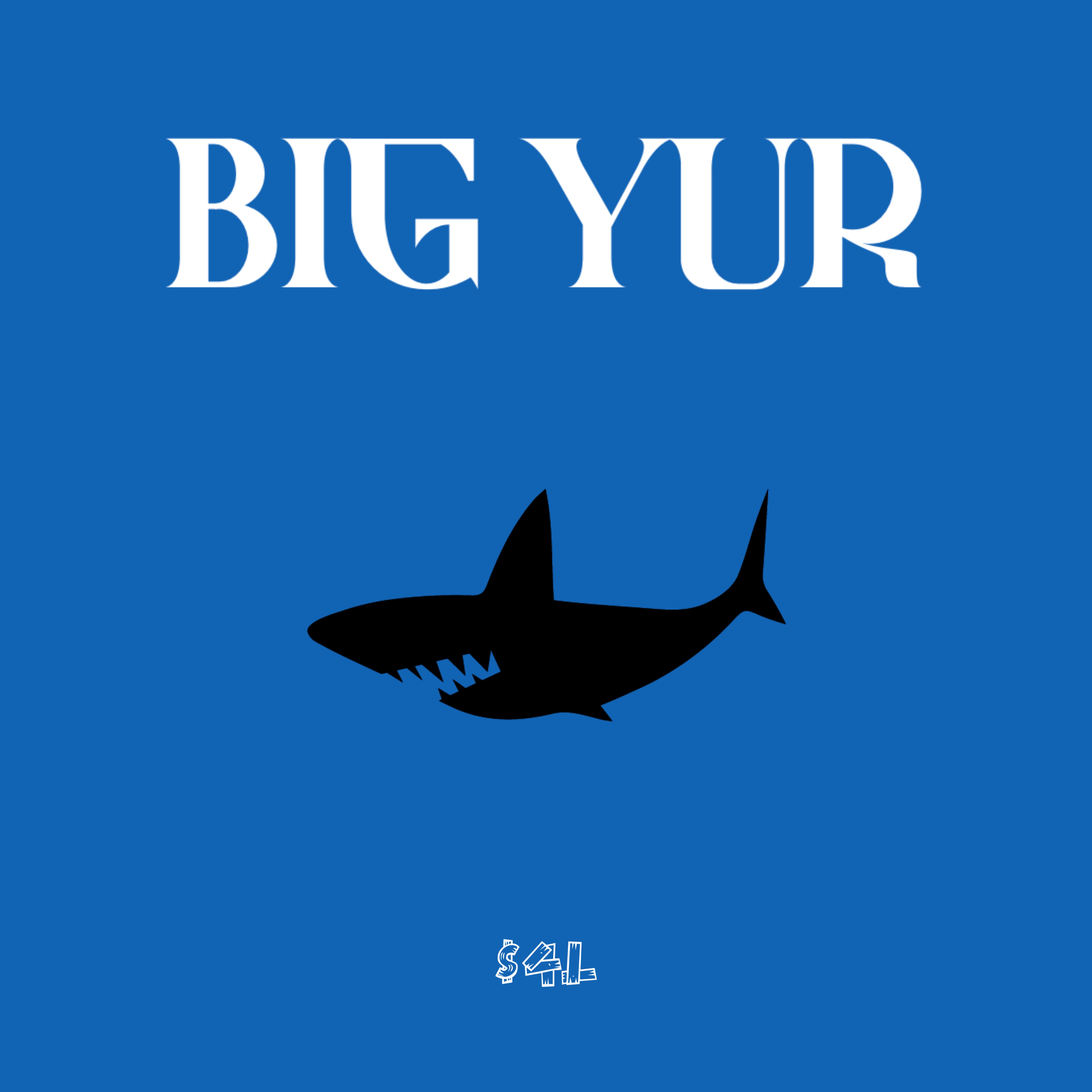 BIG YUR artwork