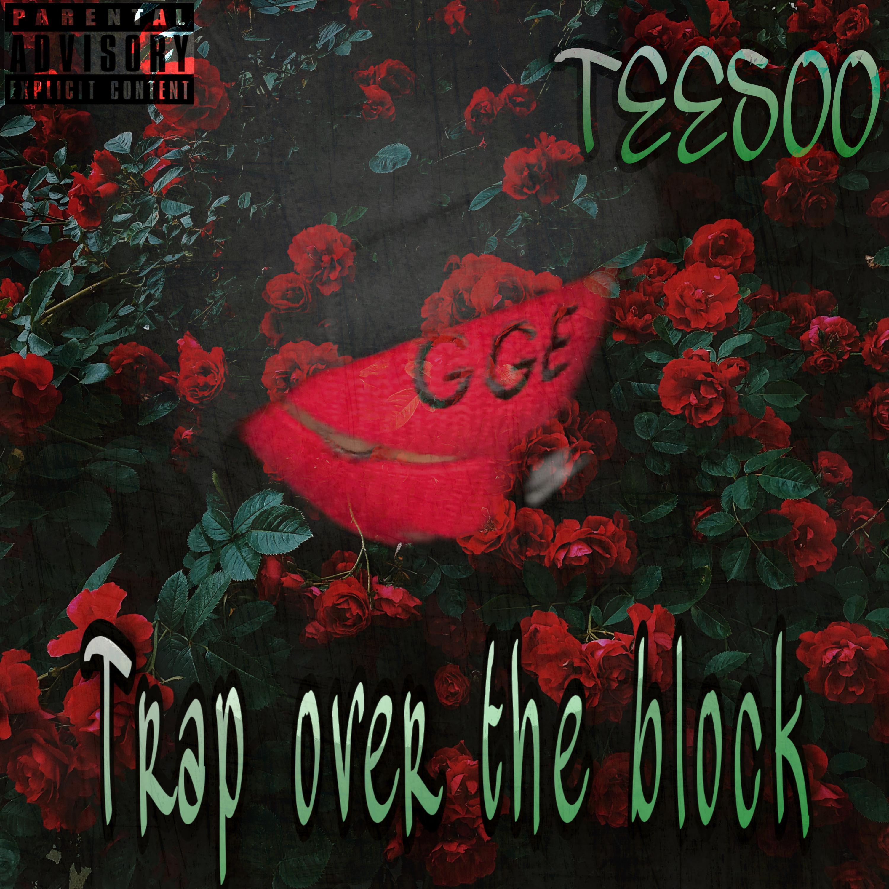 Trap Over The Block artwork