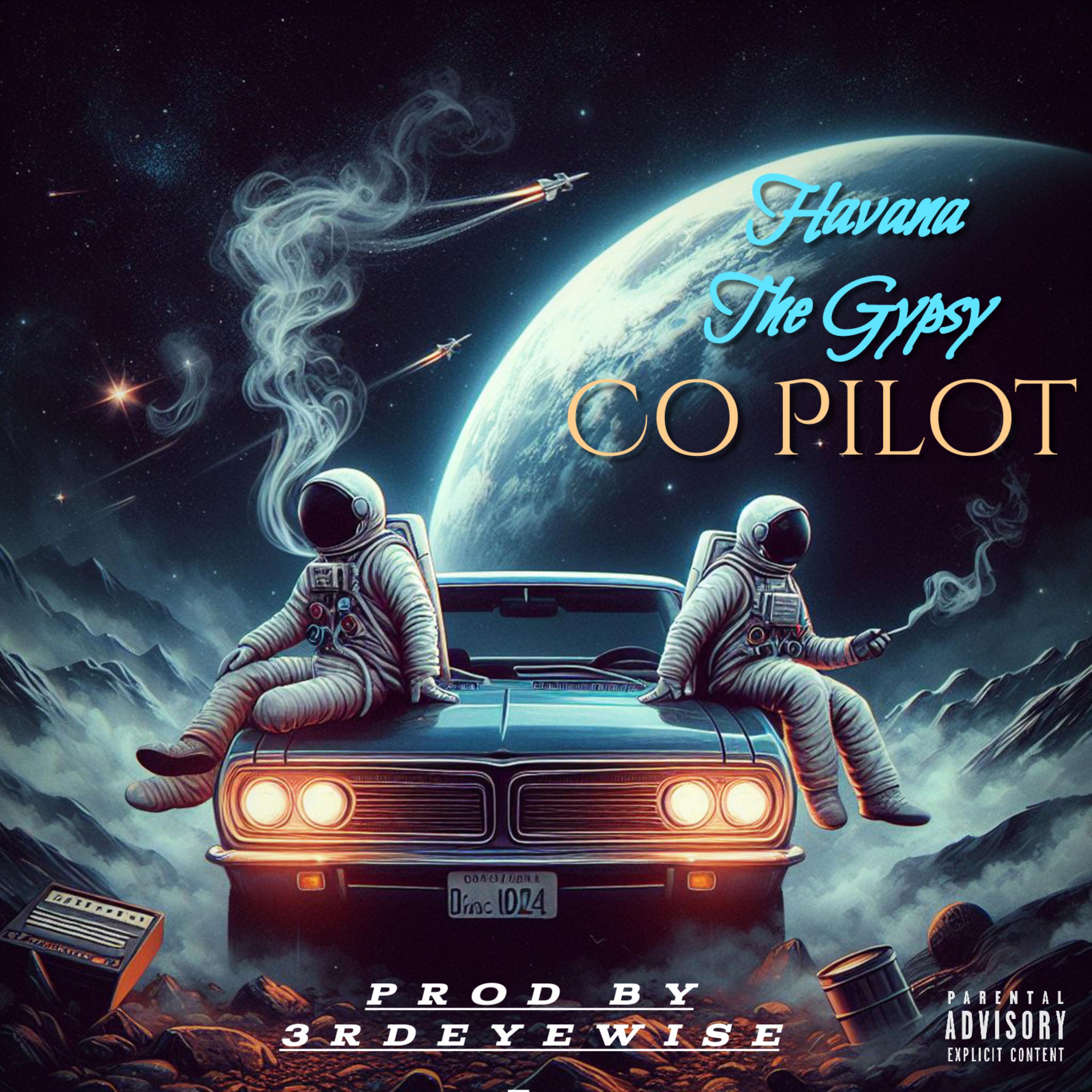 Co Pilot artwork