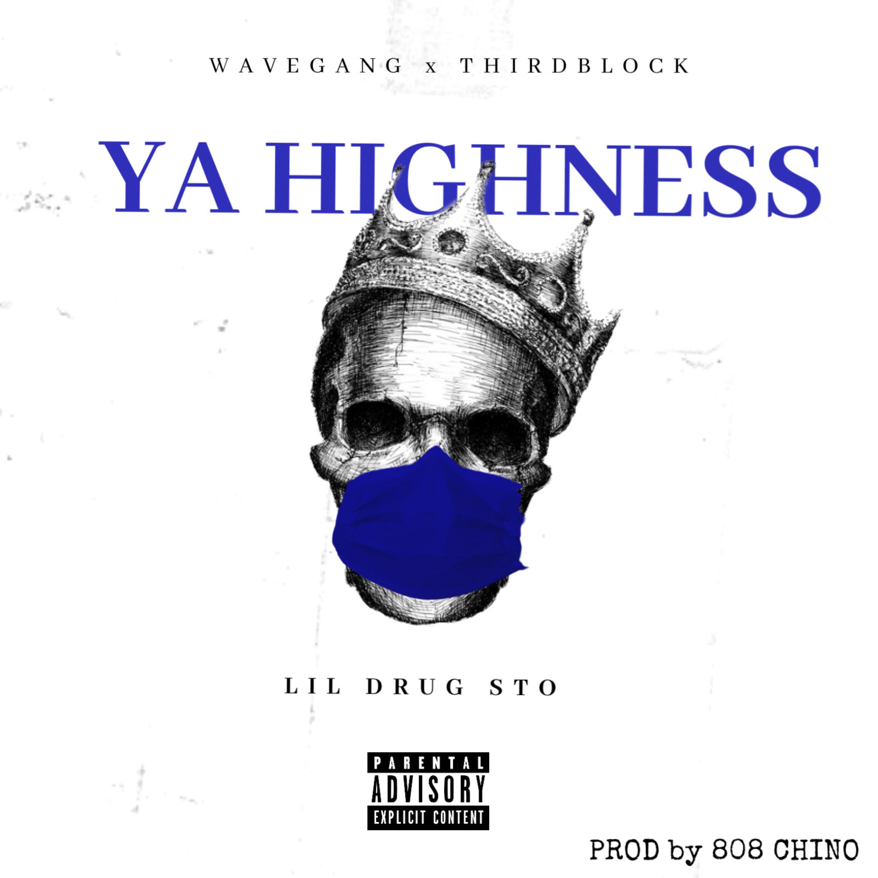 YA HIGHNESS artwork