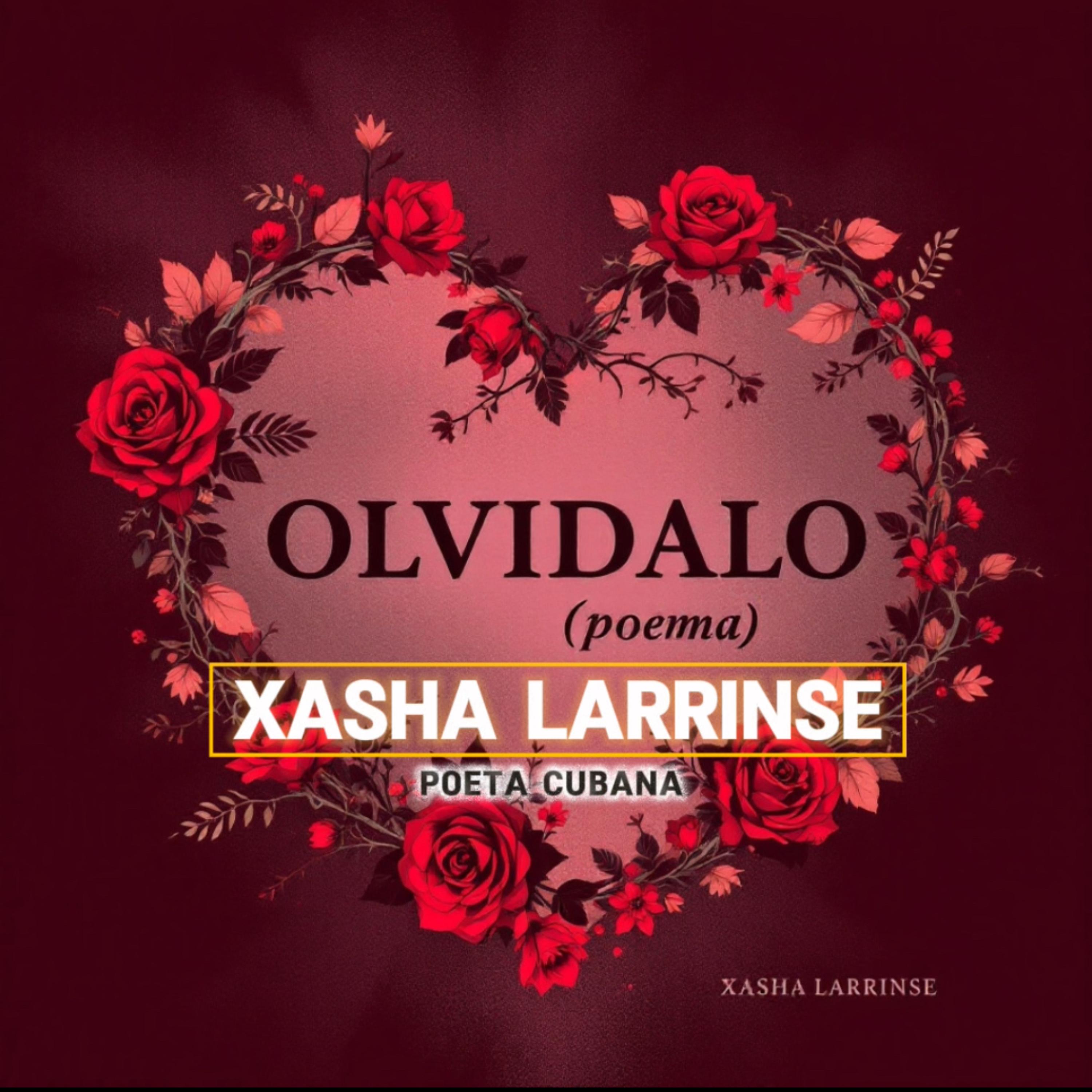 OLVÍDALO ( Poema ) artwork