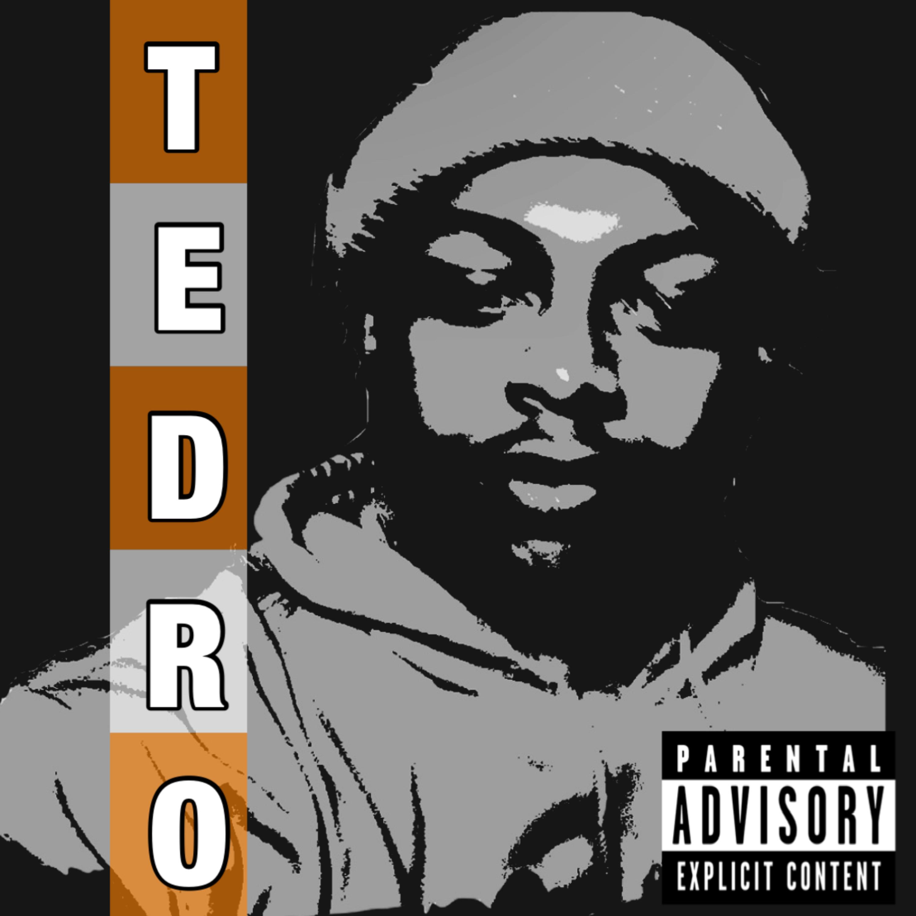 The TEDRO Project by TEDRO ESCO cover art