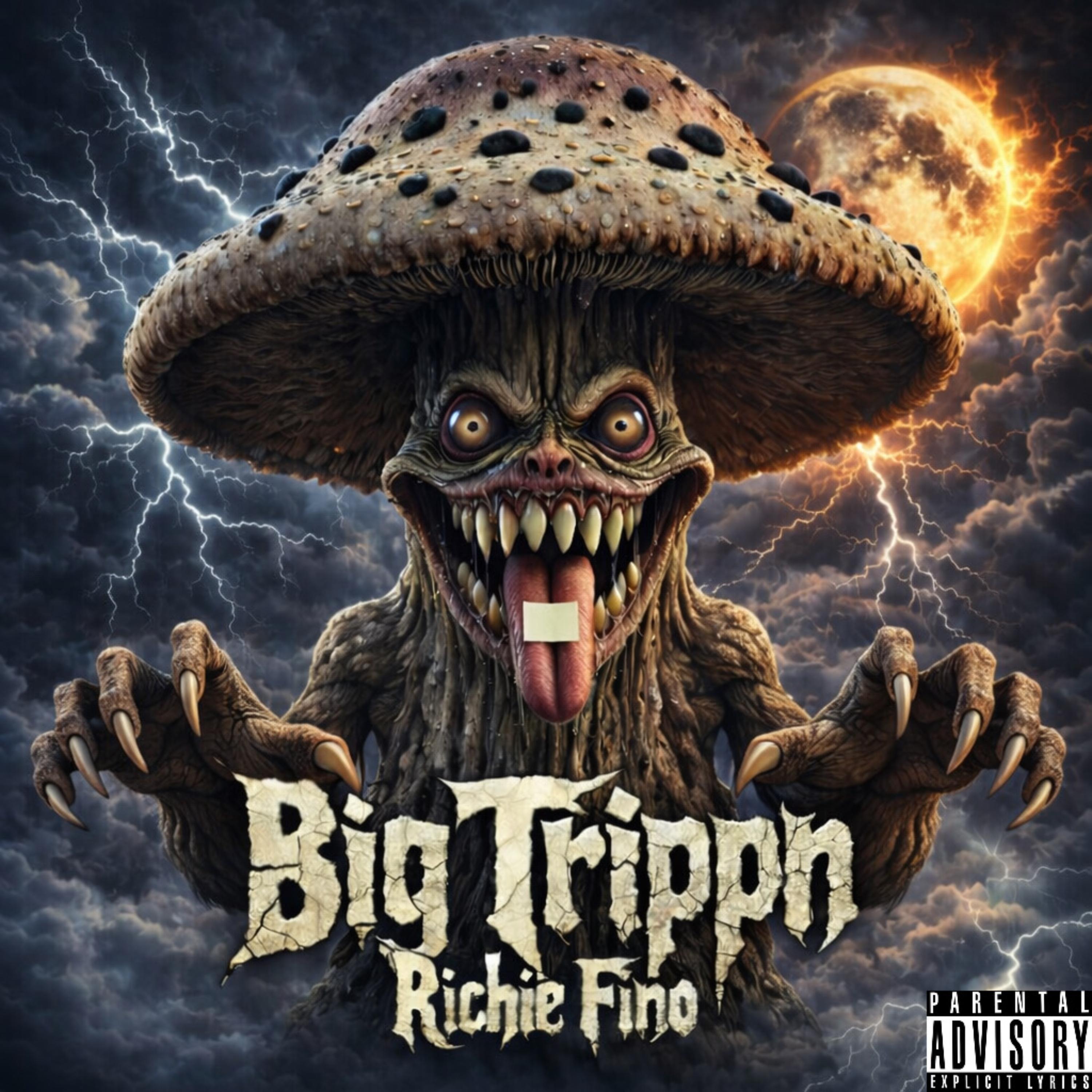 Big Trippn artwork