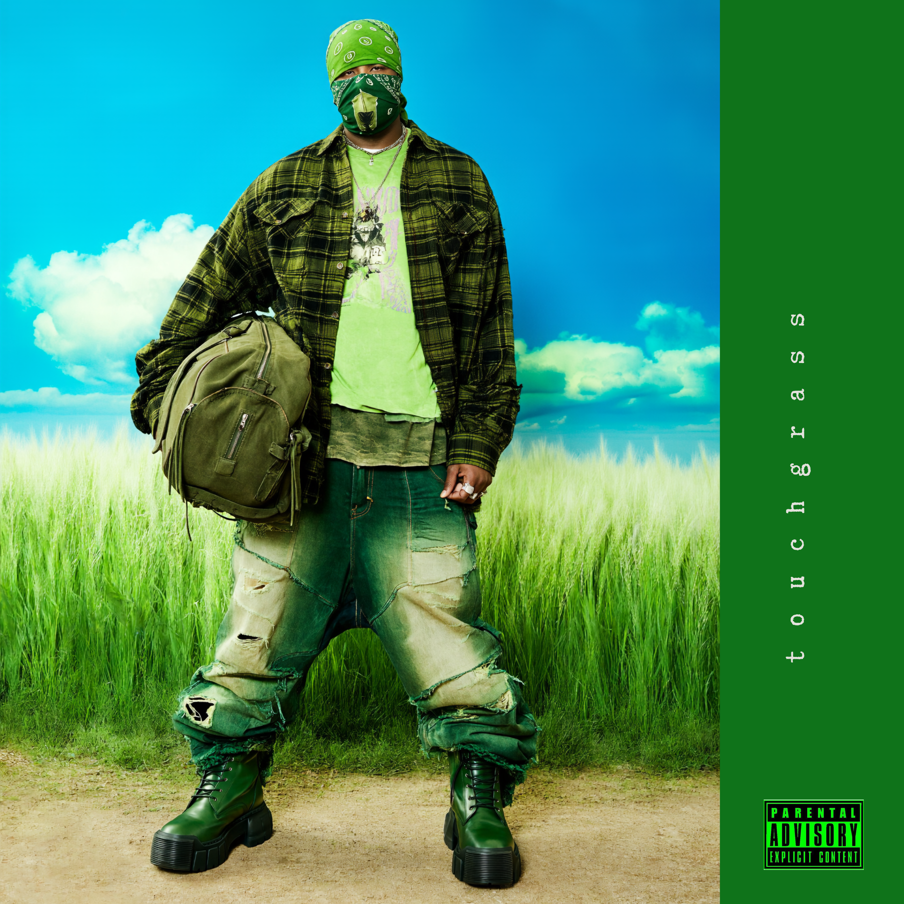touch grass by D.Worthy cover art